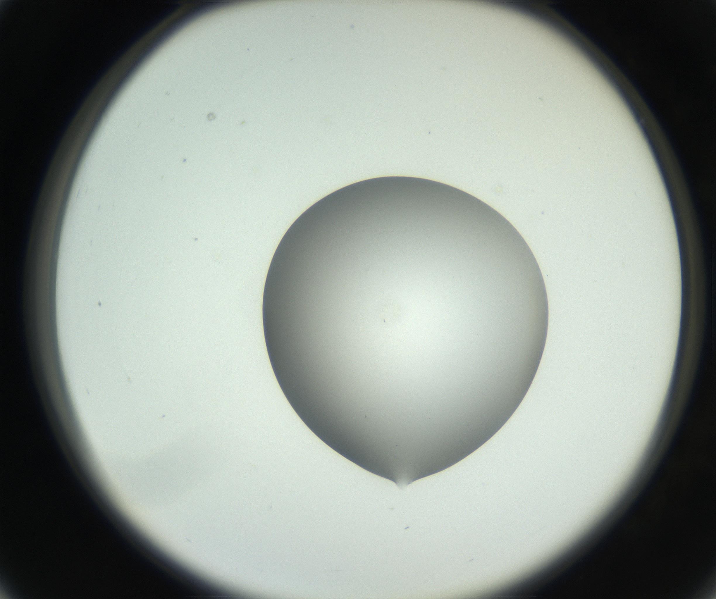 RI01_03_000_0212_Proj1_Clon1_MC_0000MC102746_002_160922_03_03_02_00_99_002_001_RAI.jpg