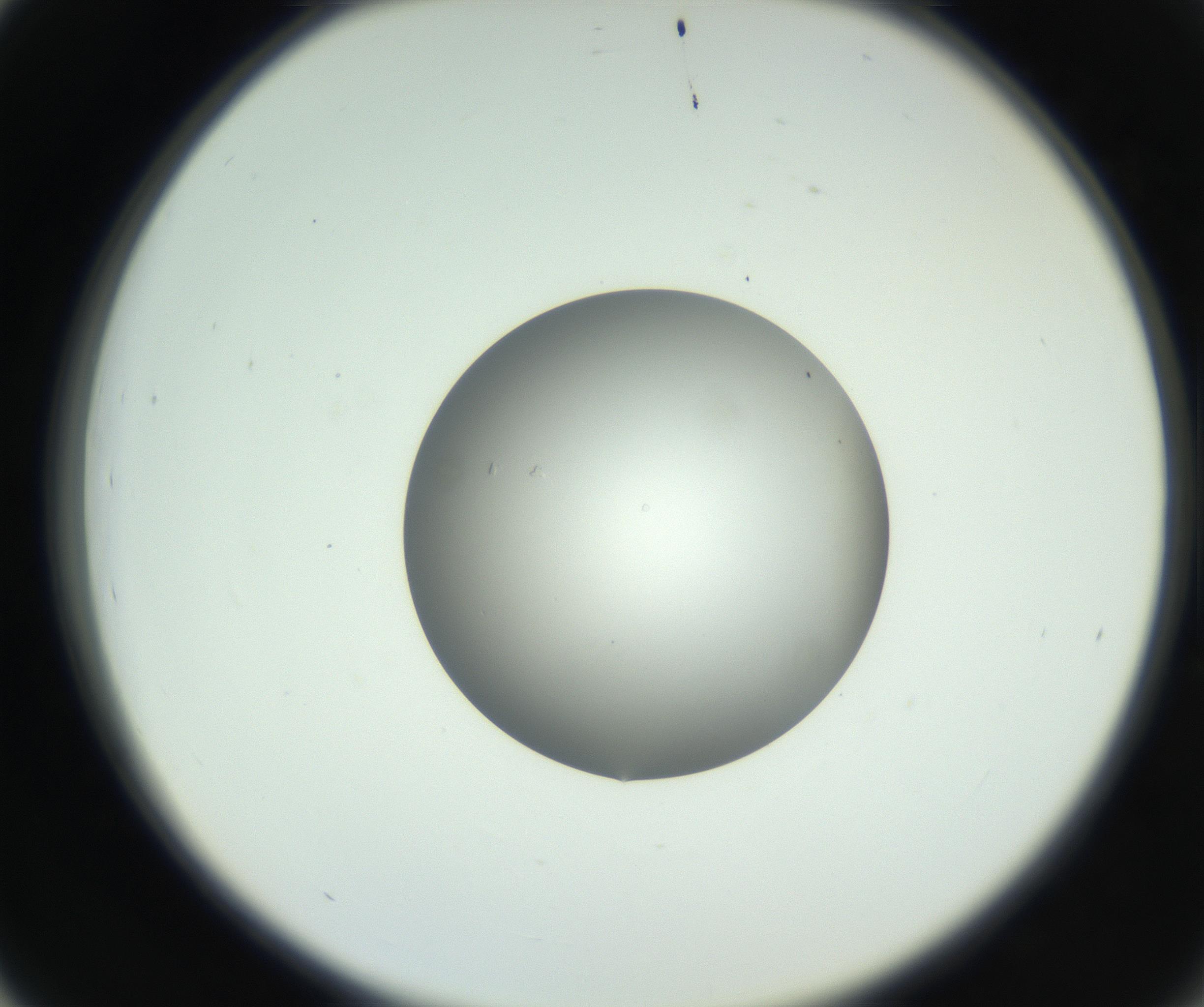 RI01_03_000_0212_Proj1_Clon1_MC_0000MC102746_002_160922_03_04_02_00_99_002_001_RAI.jpg