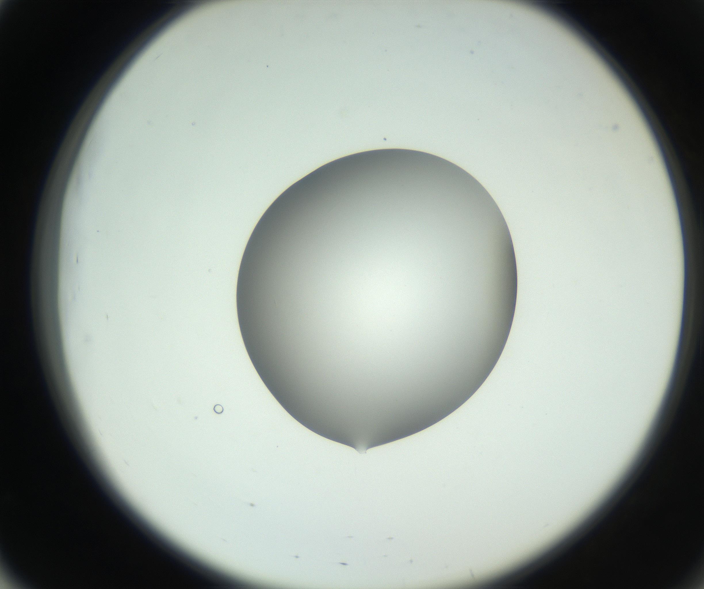 RI01_03_000_0212_Proj1_Clon1_MC_0000MC102746_002_160922_03_05_02_00_99_002_001_RAI.jpg