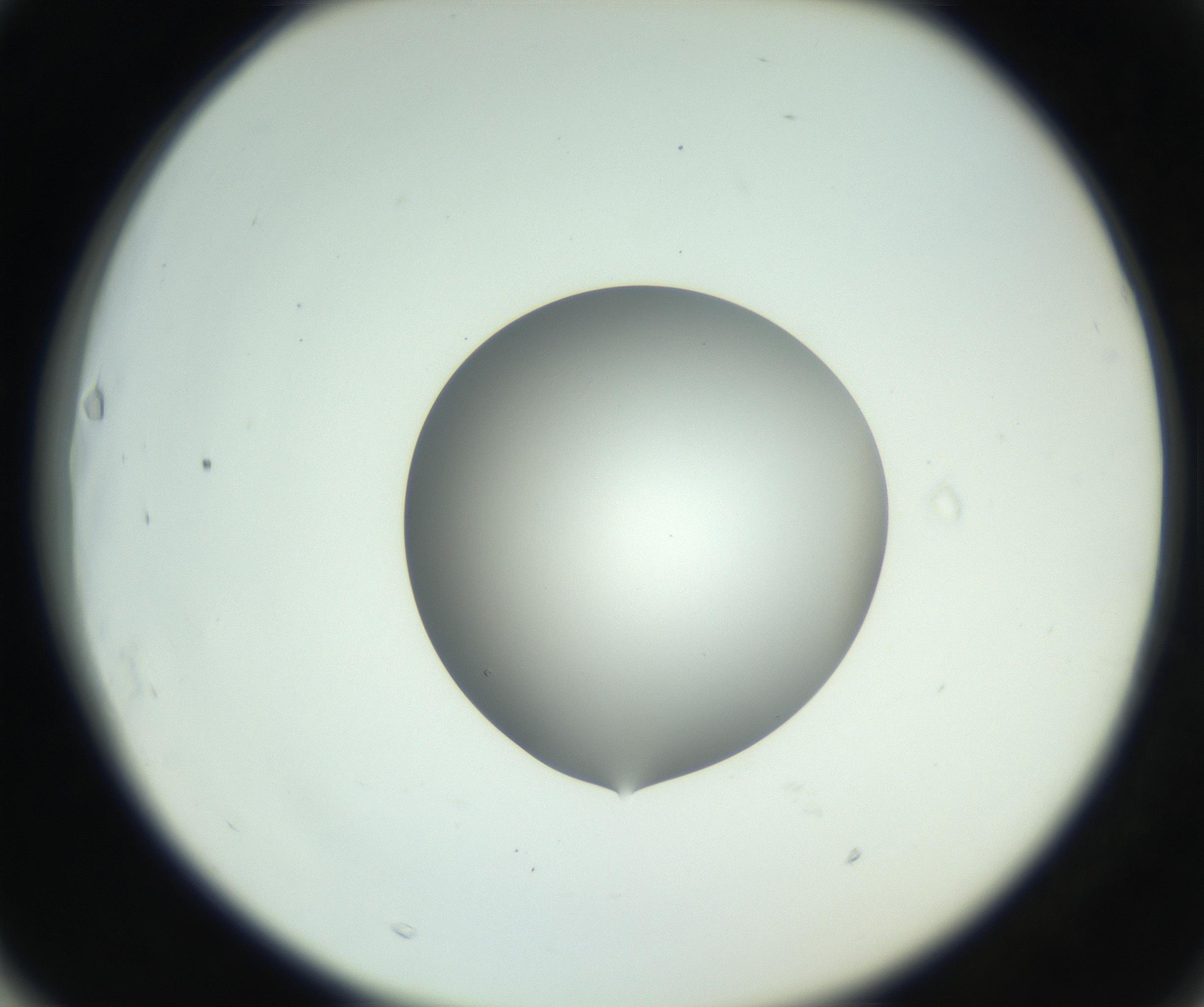 RI01_03_000_0212_Proj1_Clon1_MC_0000MC102746_002_160922_03_06_02_00_99_002_001_RAI.jpg