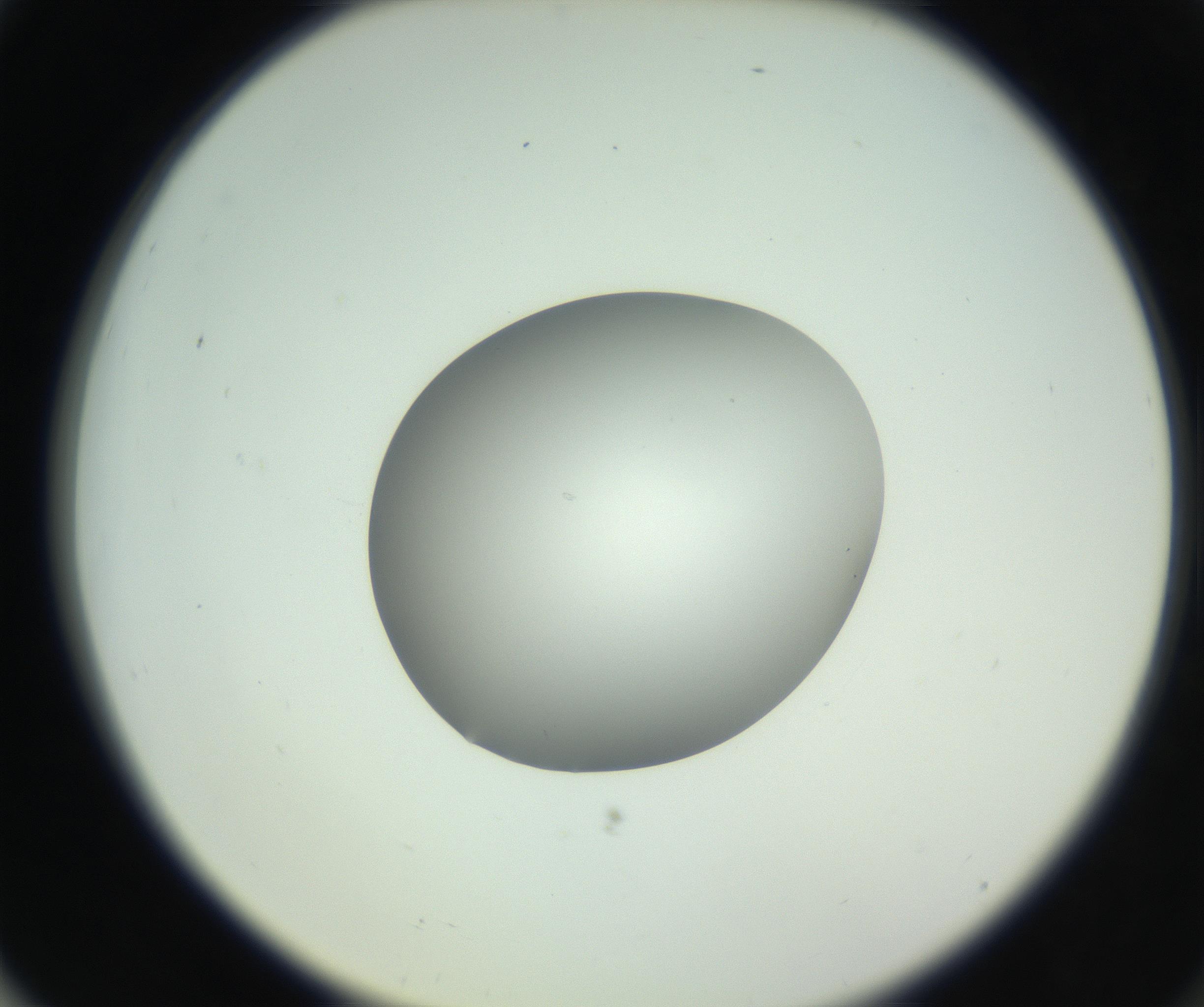 RI01_03_000_0212_Proj1_Clon1_MC_0000MC102746_002_160922_03_07_02_00_99_002_001_RAI.jpg