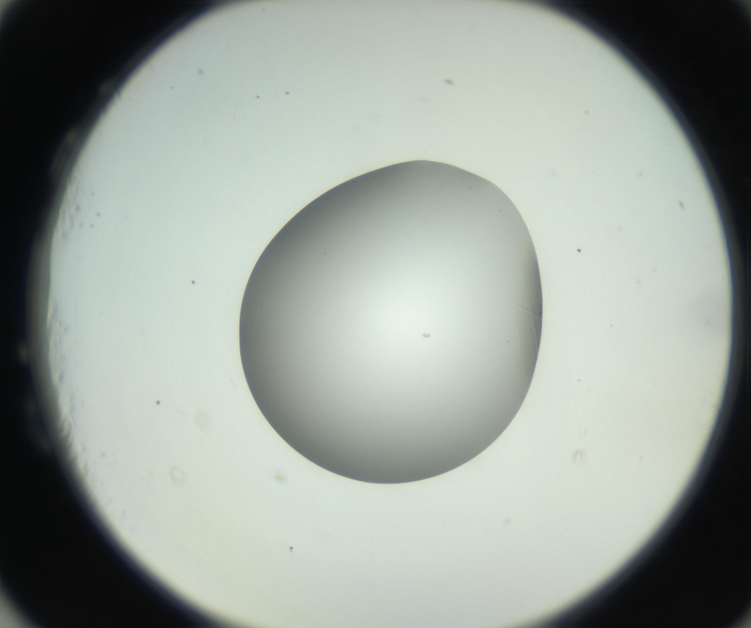 RI01_03_000_0212_Proj1_Clon1_MC_0000MC102746_002_160922_03_08_02_00_99_002_001_RAI.jpg
