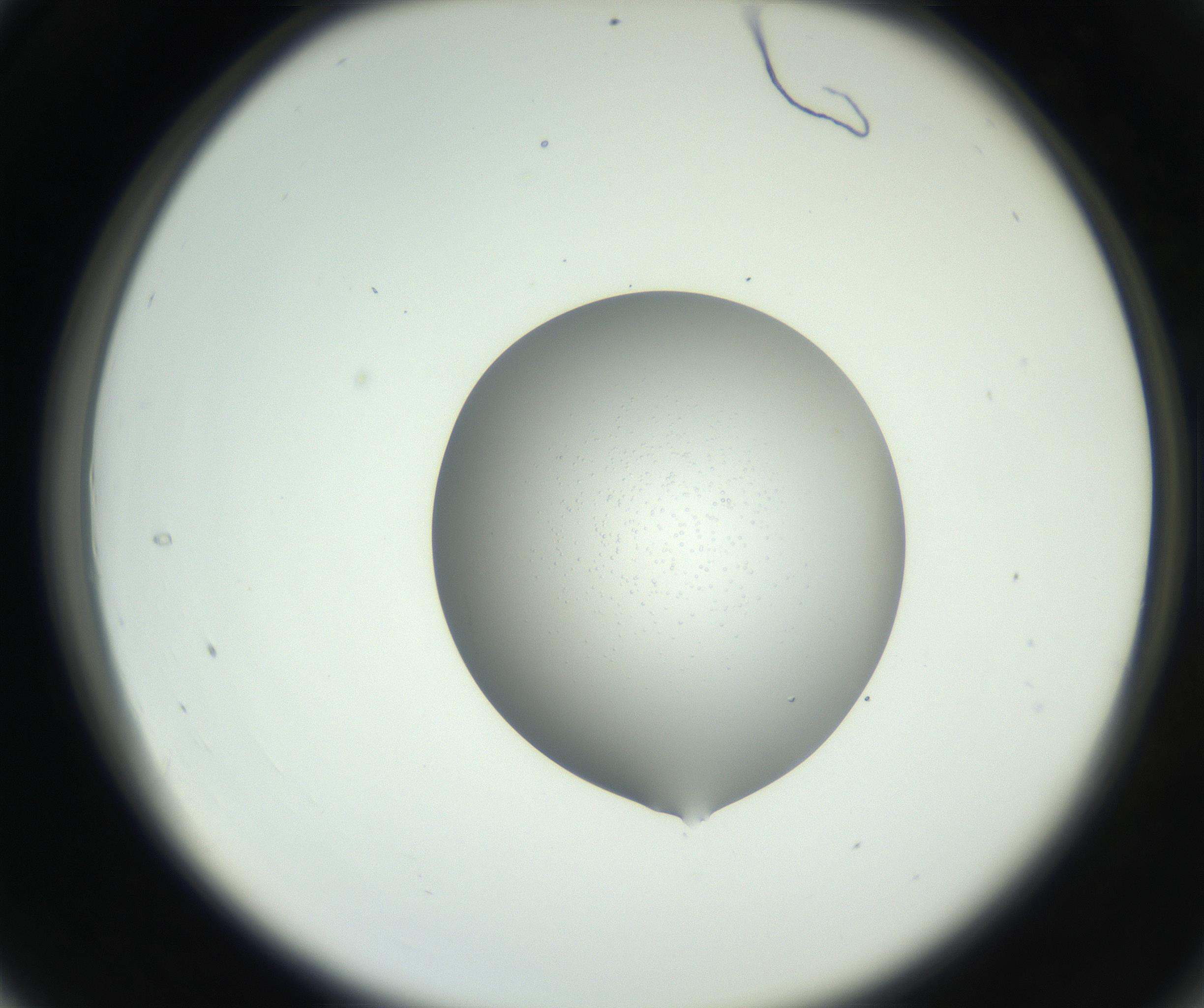 RI01_03_000_0212_Proj1_Clon1_MC_0000MC102746_002_160922_04_03_02_00_99_002_001_RAI.jpg