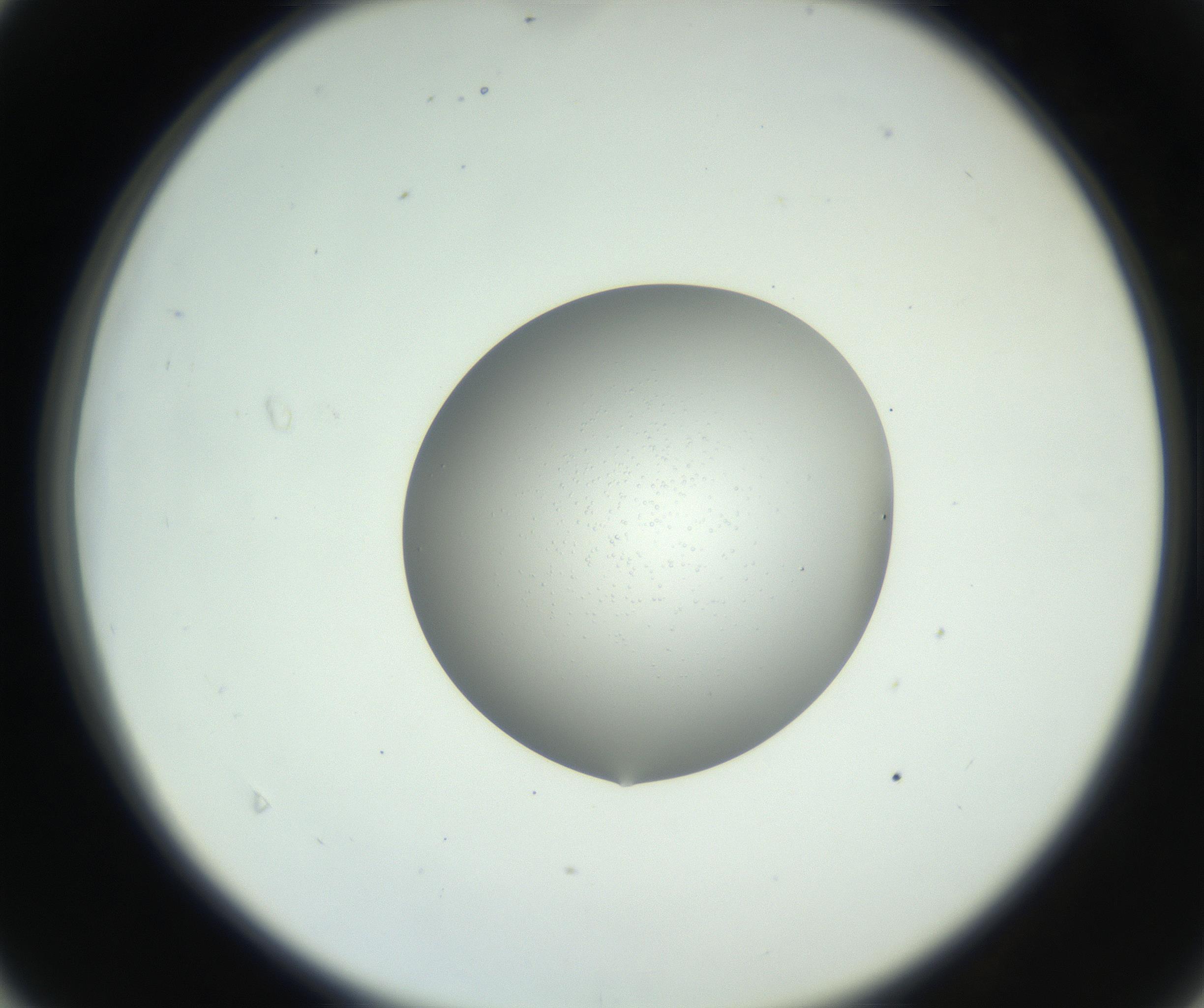 RI01_03_000_0212_Proj1_Clon1_MC_0000MC102746_002_160922_04_04_02_00_99_002_001_RAI.jpg