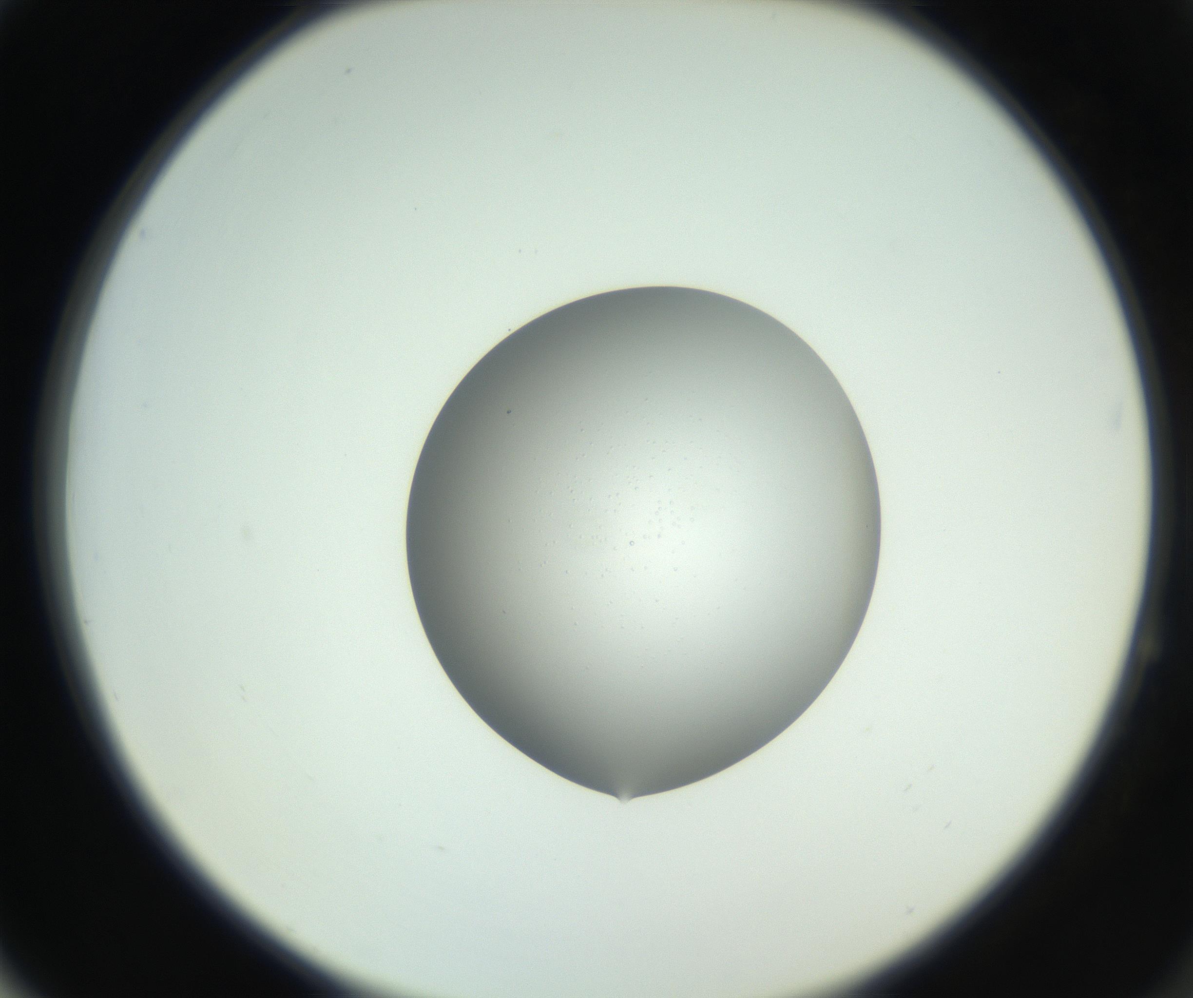 RI01_03_000_0212_Proj1_Clon1_MC_0000MC102746_002_160922_04_06_02_00_99_002_001_RAI.jpg