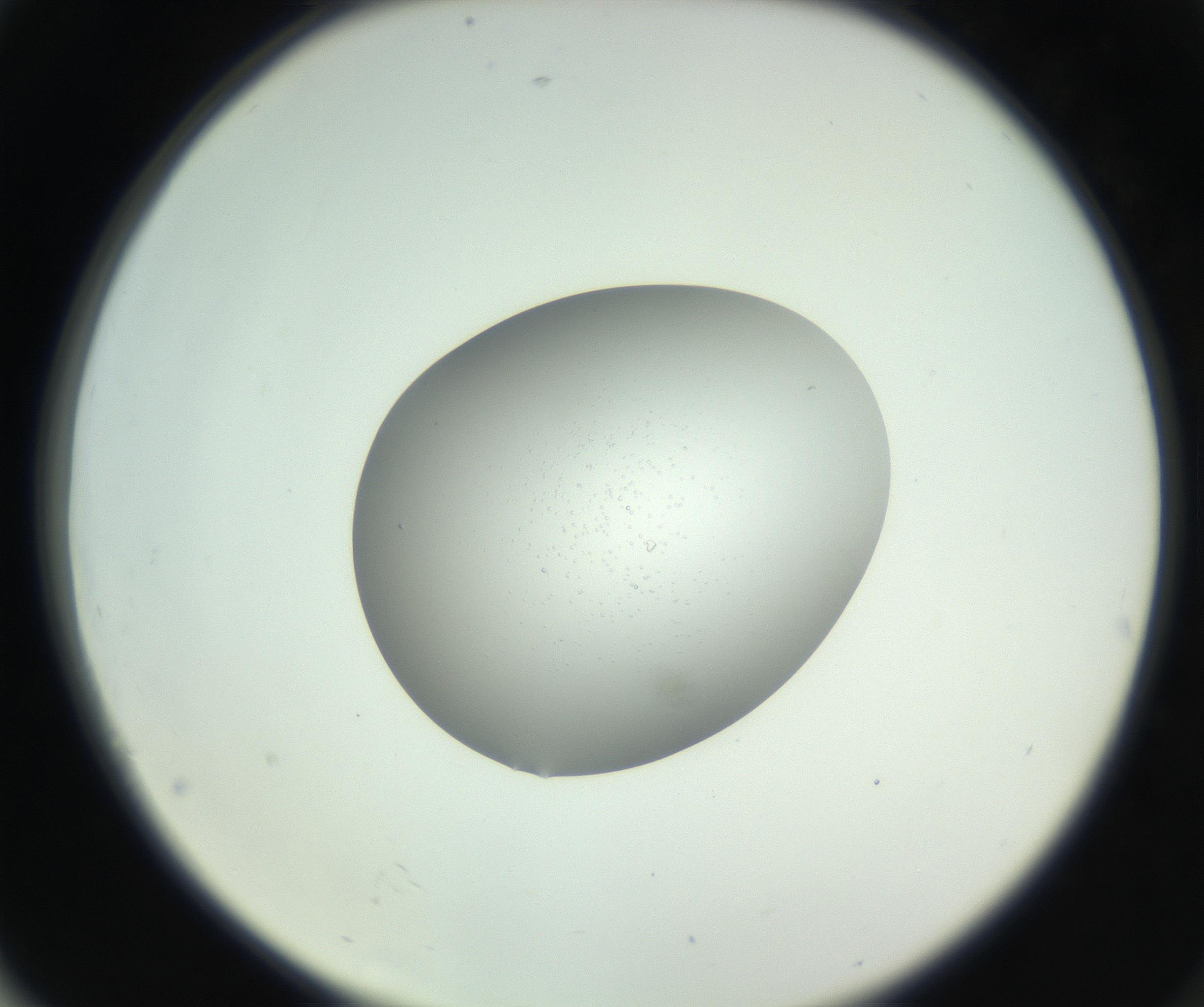 RI01_03_000_0212_Proj1_Clon1_MC_0000MC102746_002_160922_04_07_02_00_99_002_001_RAI.jpg