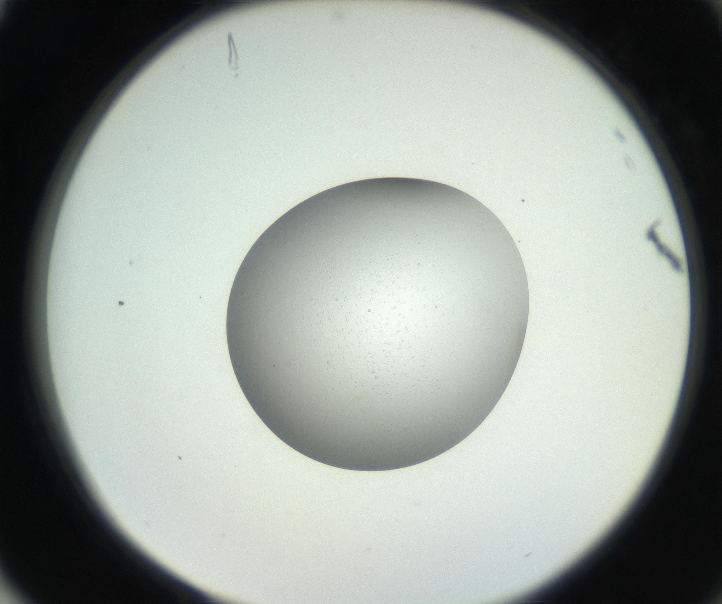 RI01_03_000_0212_Proj1_Clon1_MC_0000MC102746_002_160922_04_08_02_00_99_002_001_RAI.jpg