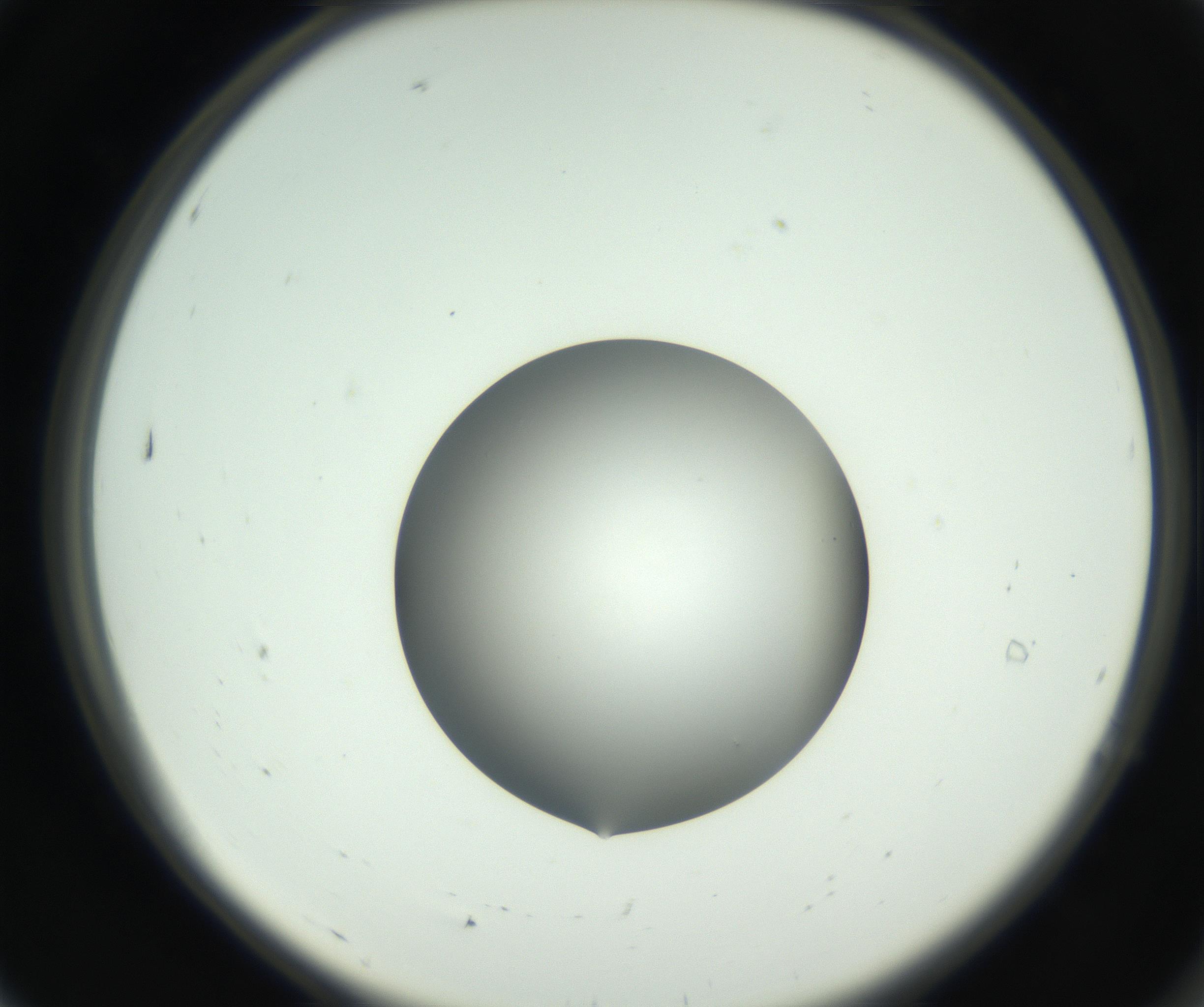 RI01_03_000_0212_Proj1_Clon1_MC_0000MC102746_002_160922_07_01_02_00_99_002_001_RAI.jpg