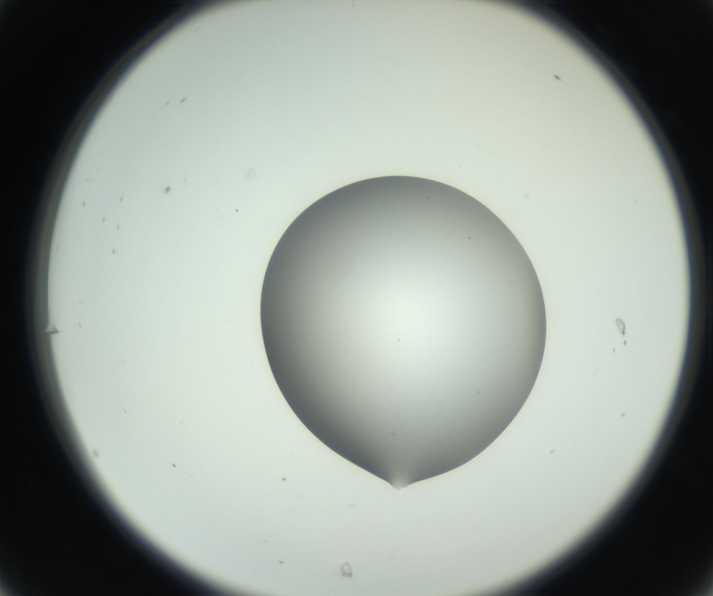 RI01_03_000_0212_Proj1_Clon1_MC_0000MC102746_002_160922_07_03_02_00_99_002_001_RAI.jpg