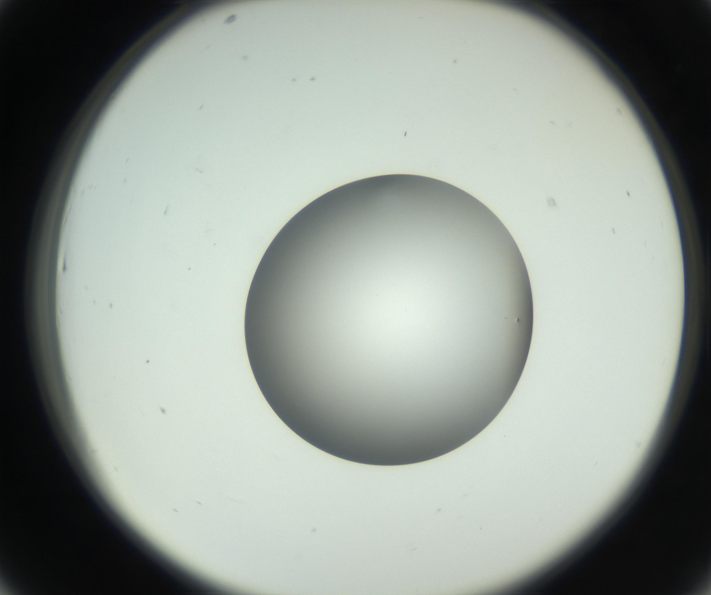 RI01_03_000_0212_Proj1_Clon1_MC_0000MC102746_002_160922_07_04_02_00_99_002_001_RAI.jpg