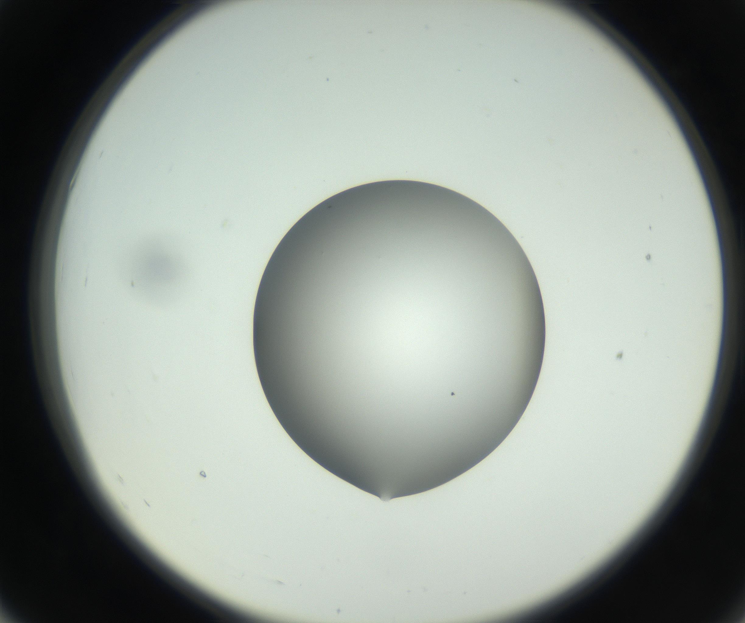 RI01_03_000_0212_Proj1_Clon1_MC_0000MC102746_002_160922_07_05_02_00_99_002_001_RAI.jpg