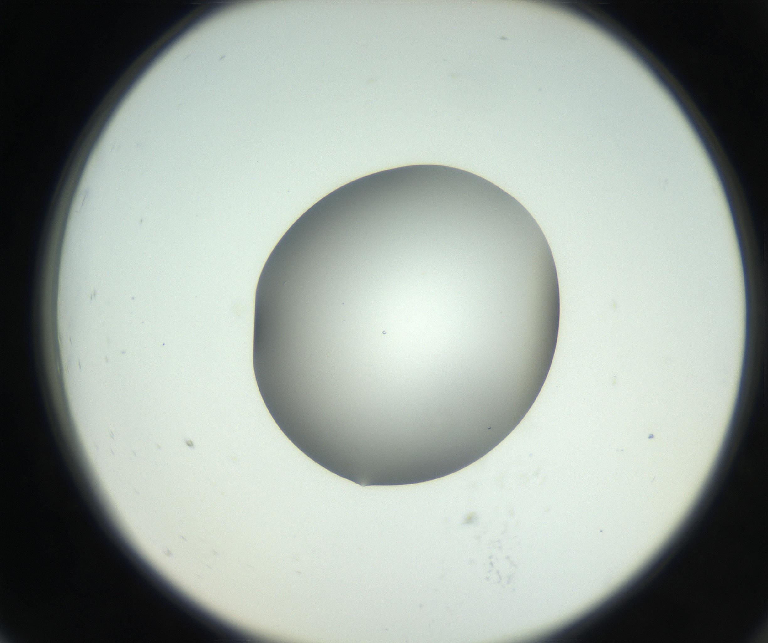 RI01_03_000_0212_Proj1_Clon1_MC_0000MC102746_002_160922_07_07_02_00_99_002_001_RAI.jpg