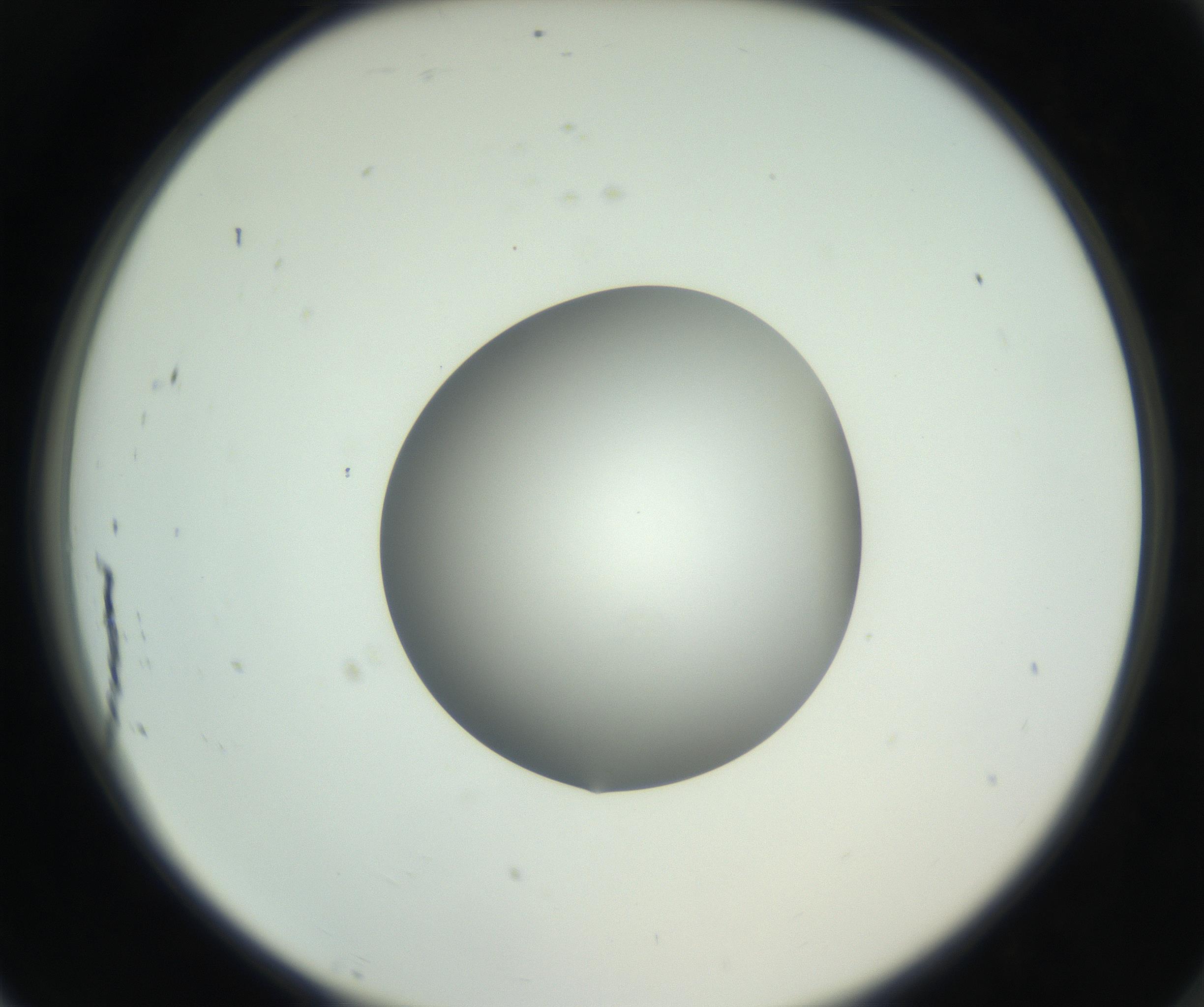 RI01_03_000_0212_Proj1_Clon1_MC_0000MC102746_002_160922_07_08_02_00_99_002_001_RAI.jpg