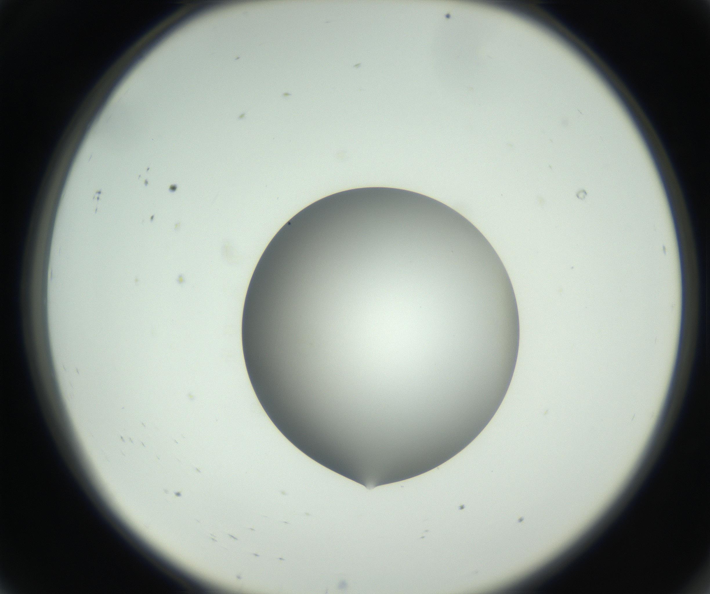 RI01_03_000_0212_Proj1_Clon1_MC_0000MC102746_002_160922_08_01_02_00_99_002_001_RAI.jpg