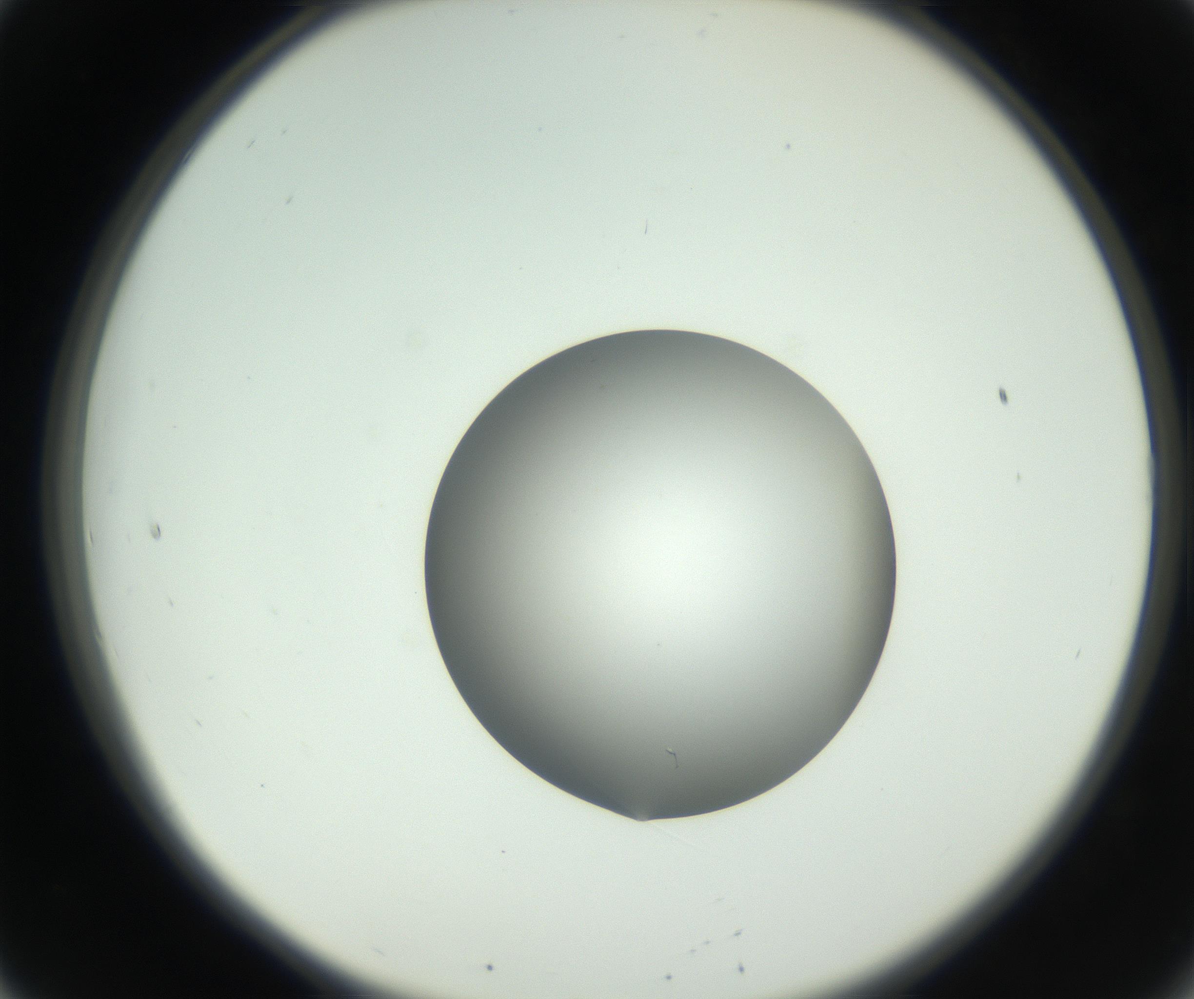 RI01_03_000_0212_Proj1_Clon1_MC_0000MC102746_002_160922_08_02_02_00_99_002_001_RAI.jpg