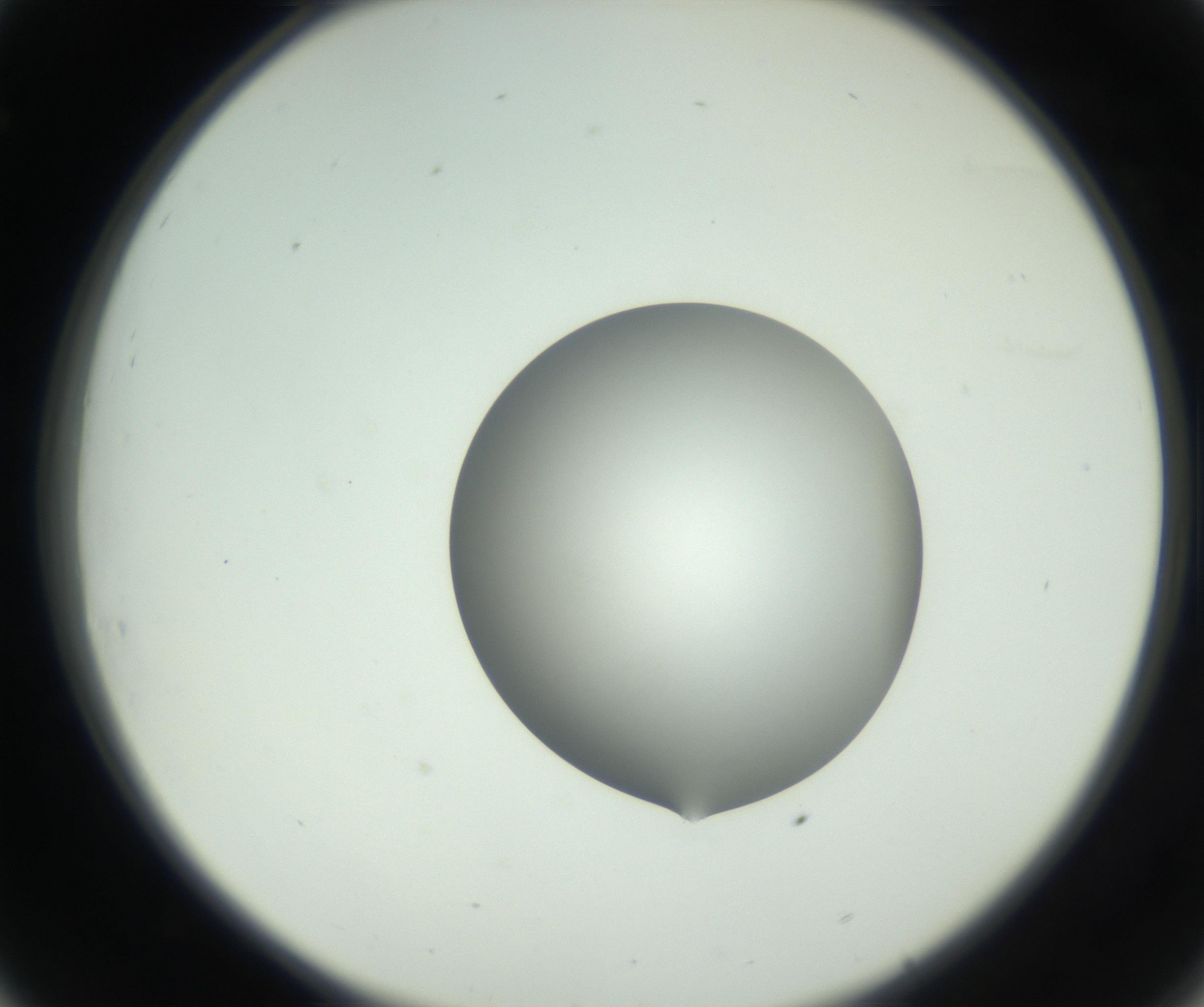 RI01_03_000_0212_Proj1_Clon1_MC_0000MC102746_002_160922_08_03_02_00_99_002_001_RAI.jpg