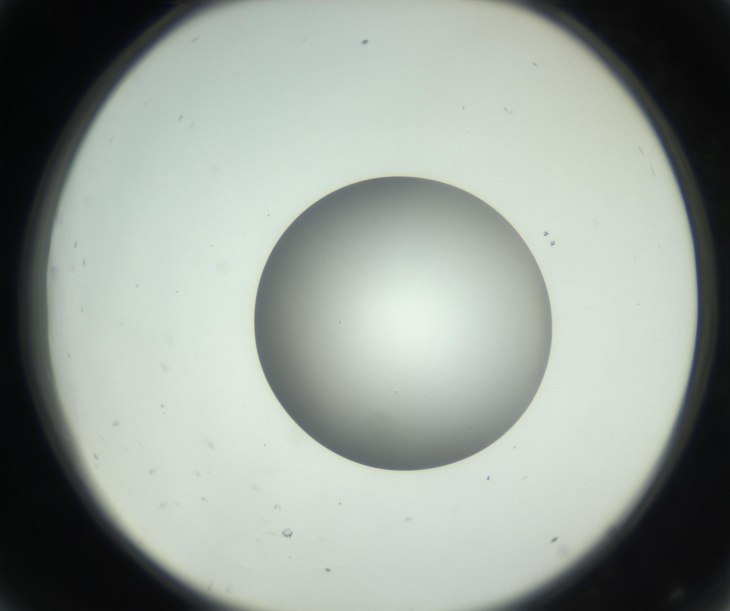 RI01_03_000_0212_Proj1_Clon1_MC_0000MC102746_002_160922_08_04_02_00_99_002_001_RAI.jpg