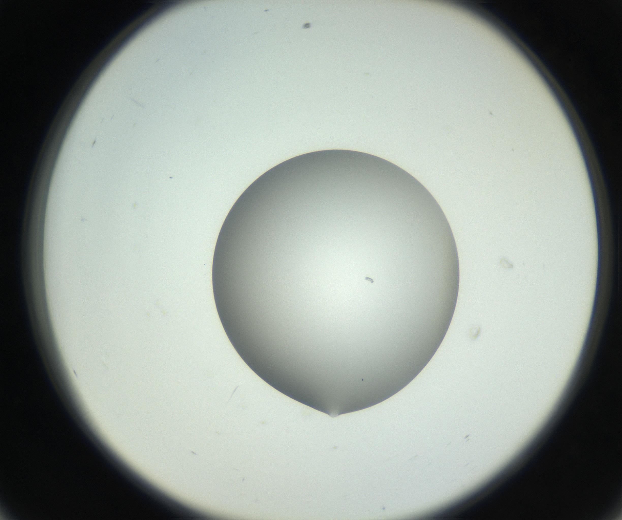 RI01_03_000_0212_Proj1_Clon1_MC_0000MC102746_002_160922_08_05_02_00_99_002_001_RAI.jpg