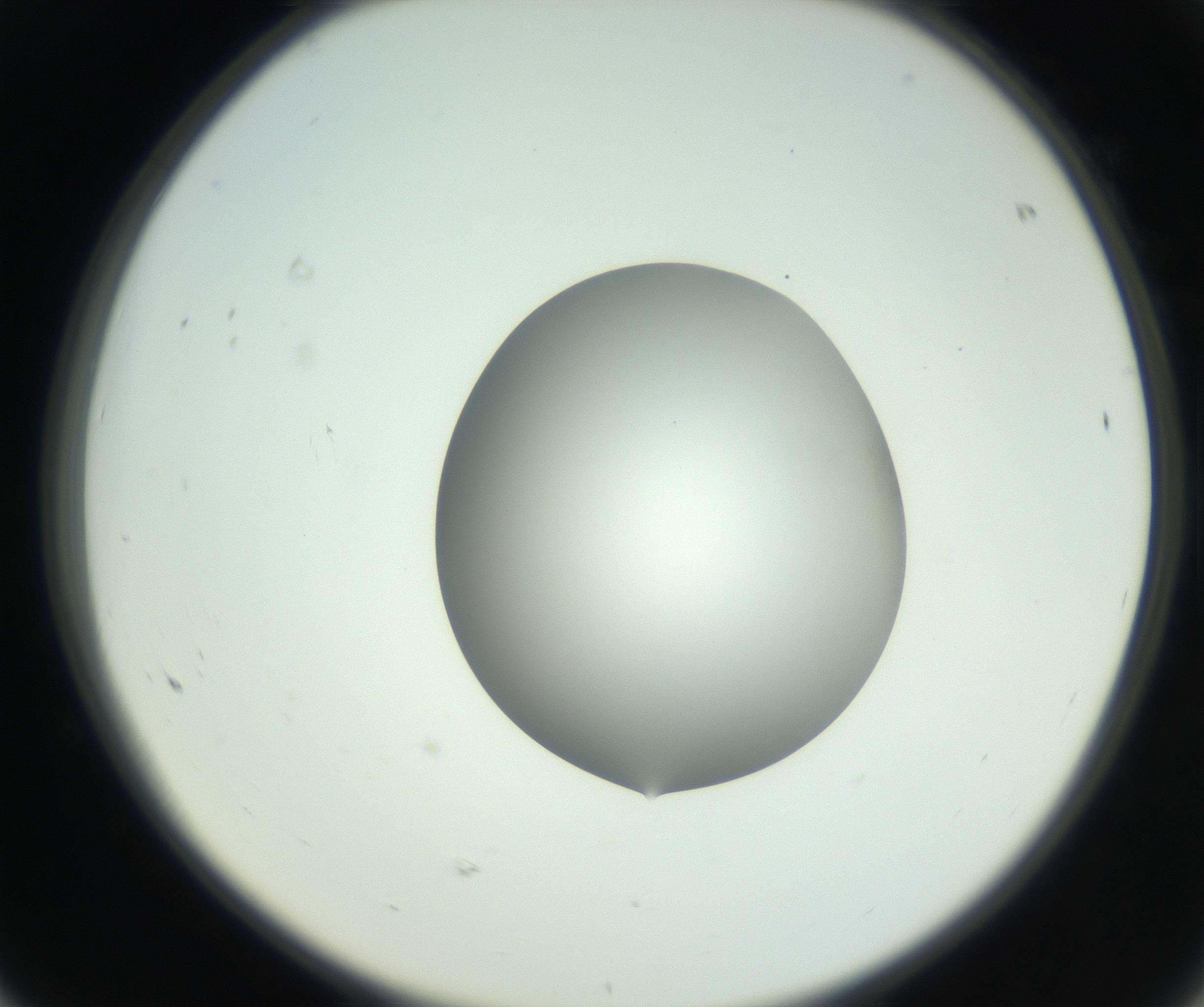 RI01_03_000_0212_Proj1_Clon1_MC_0000MC102746_002_160922_08_06_02_00_99_002_001_RAI.jpg