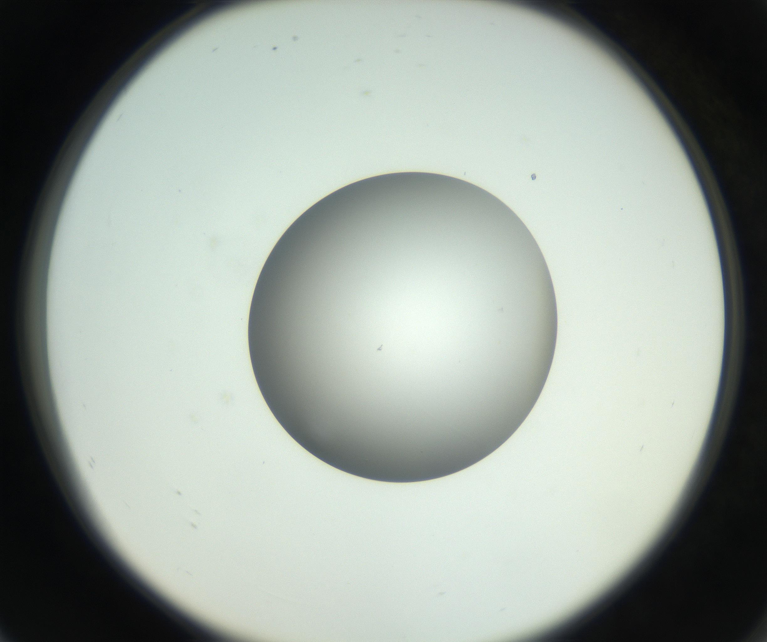 RI01_03_000_0212_Proj1_Clon1_MC_0000MC102746_002_160922_08_07_02_00_99_002_001_RAI.jpg