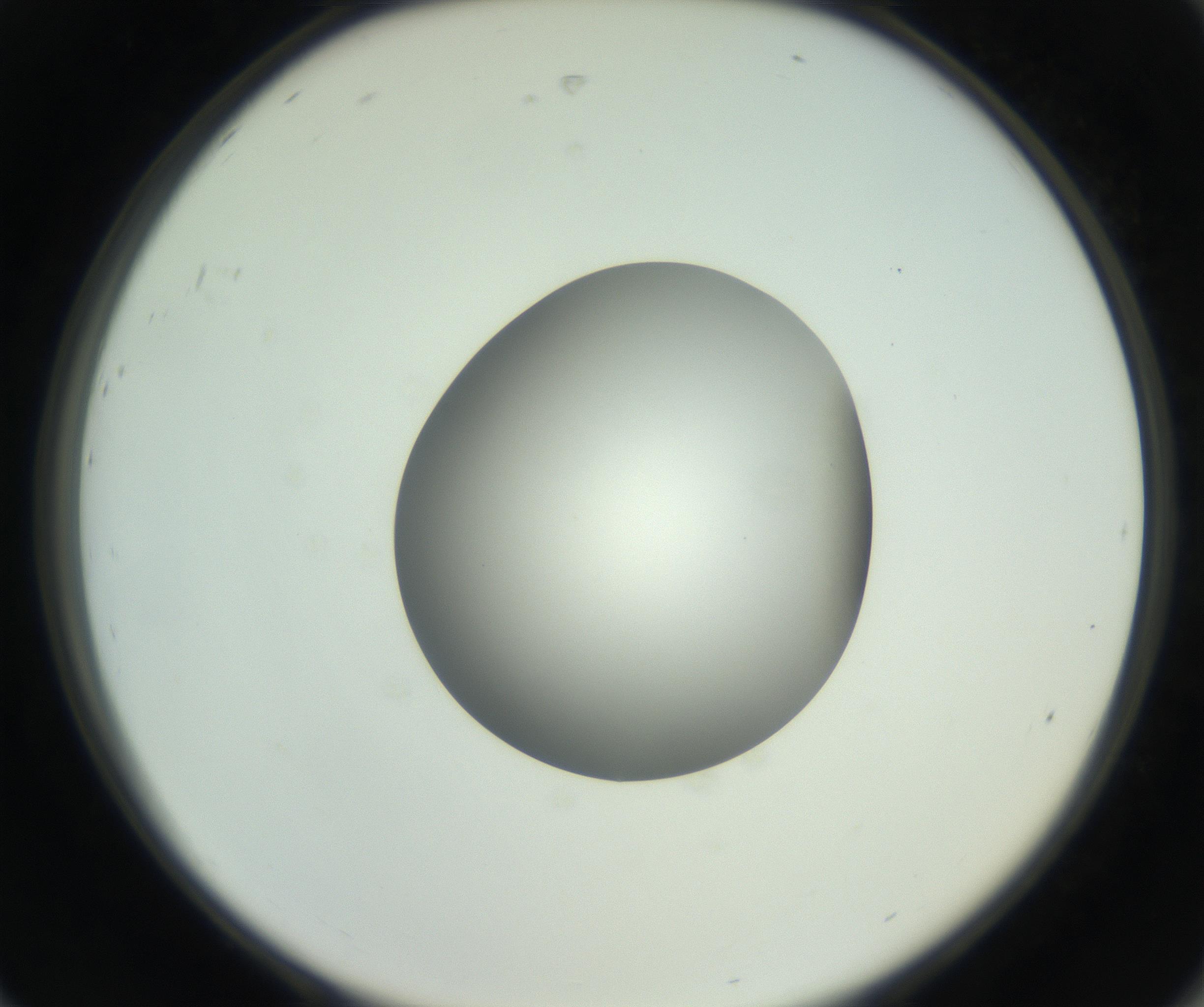 RI01_03_000_0212_Proj1_Clon1_MC_0000MC102746_002_160922_08_08_02_00_99_002_001_RAI.jpg