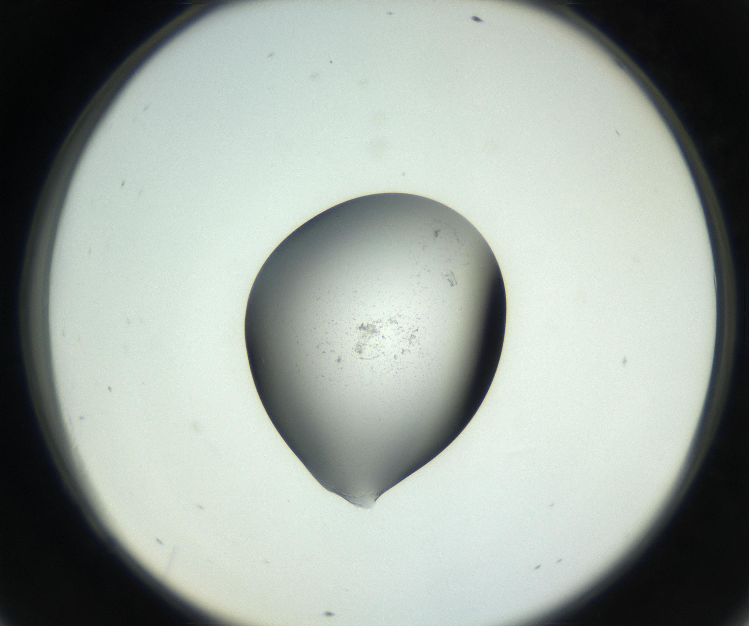RI01_03_000_0212_Proj1_Clon1_MC_0000MC102746_002_160922_09_06_02_00_99_002_001_RAI.jpg