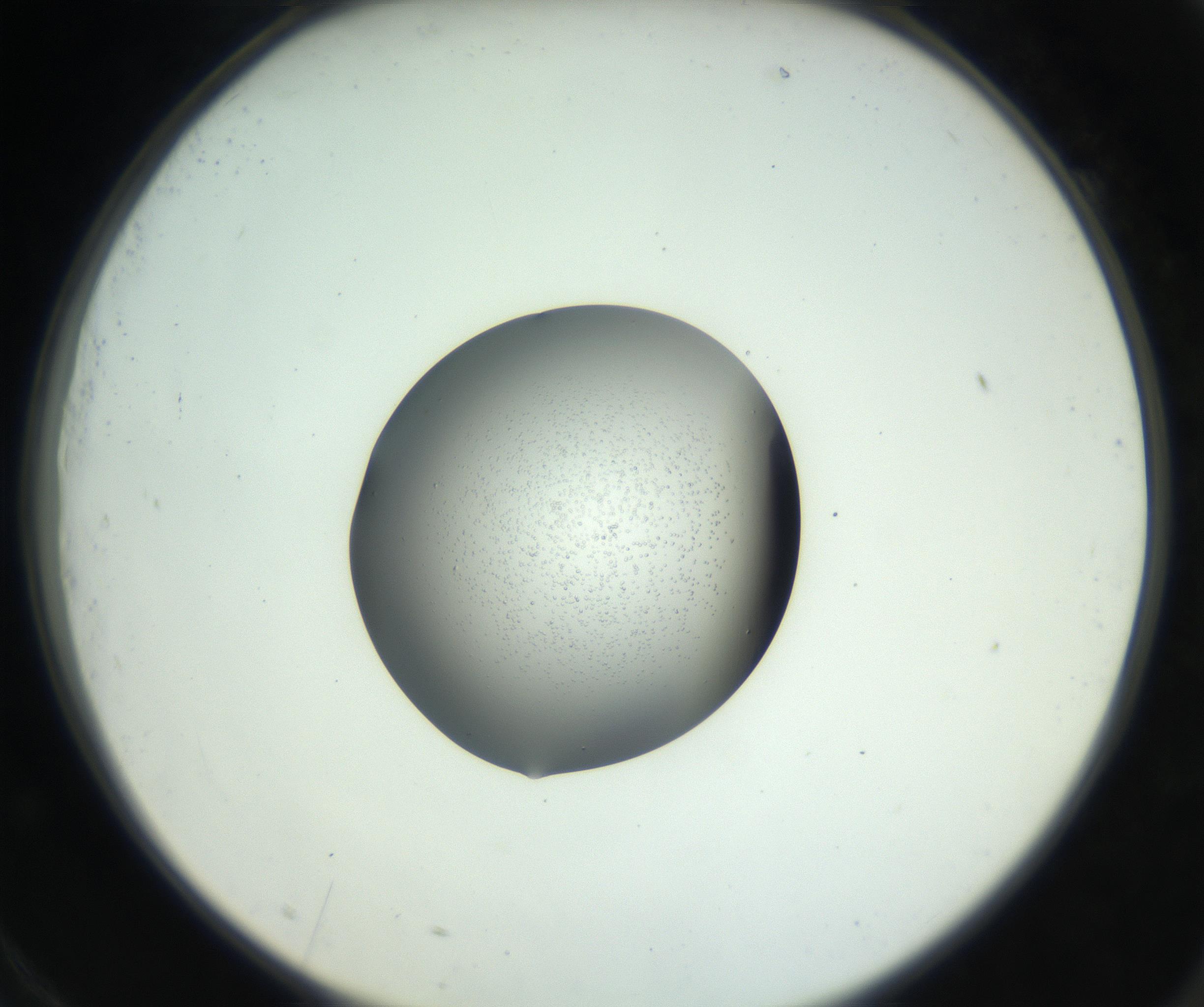 RI01_03_000_0212_Proj1_Clon1_MC_0000MC102746_002_160922_09_07_02_00_99_002_001_RAI.jpg