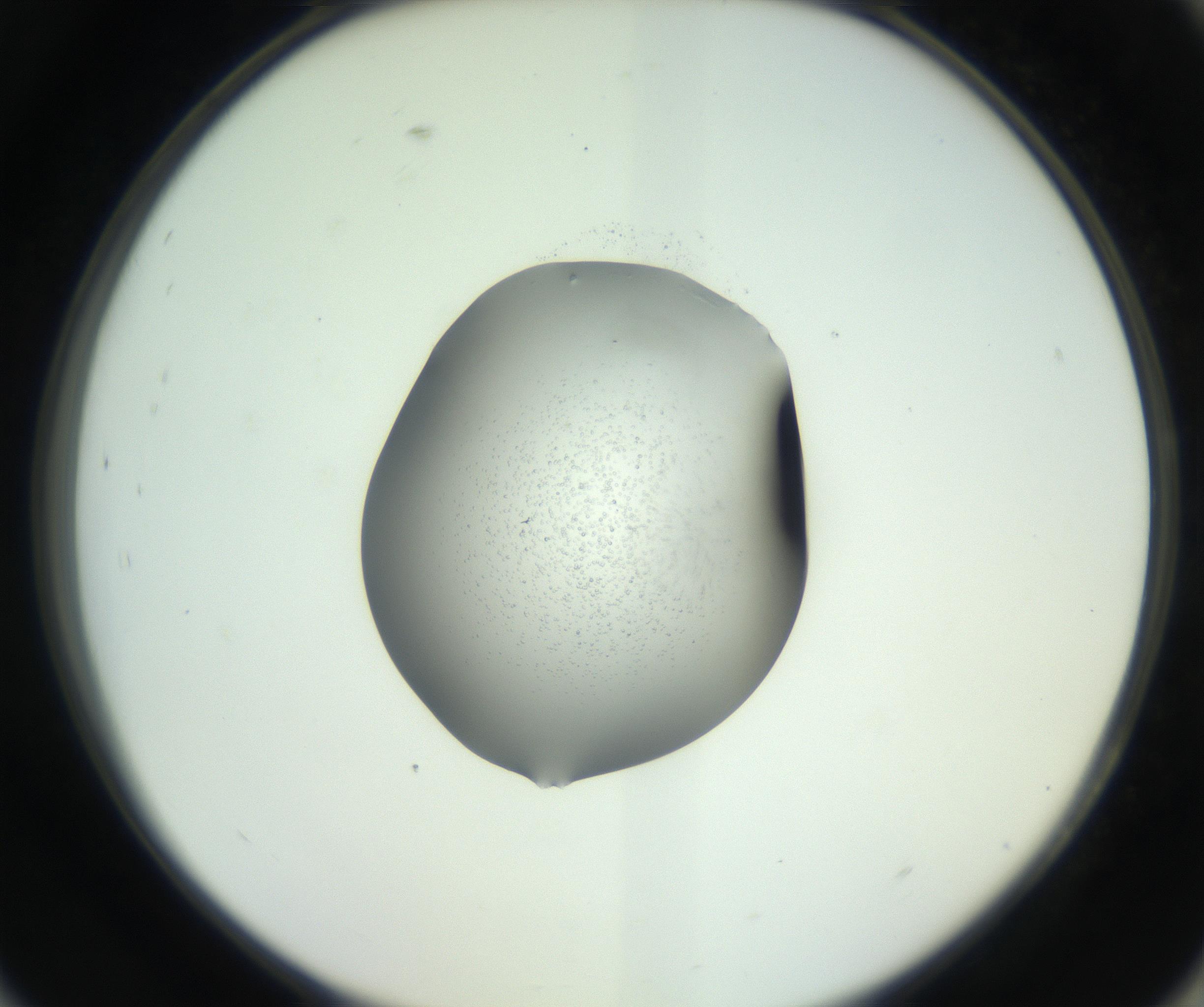 RI01_03_000_0212_Proj1_Clon1_MC_0000MC102746_002_160922_09_08_02_00_99_002_001_RAI.jpg