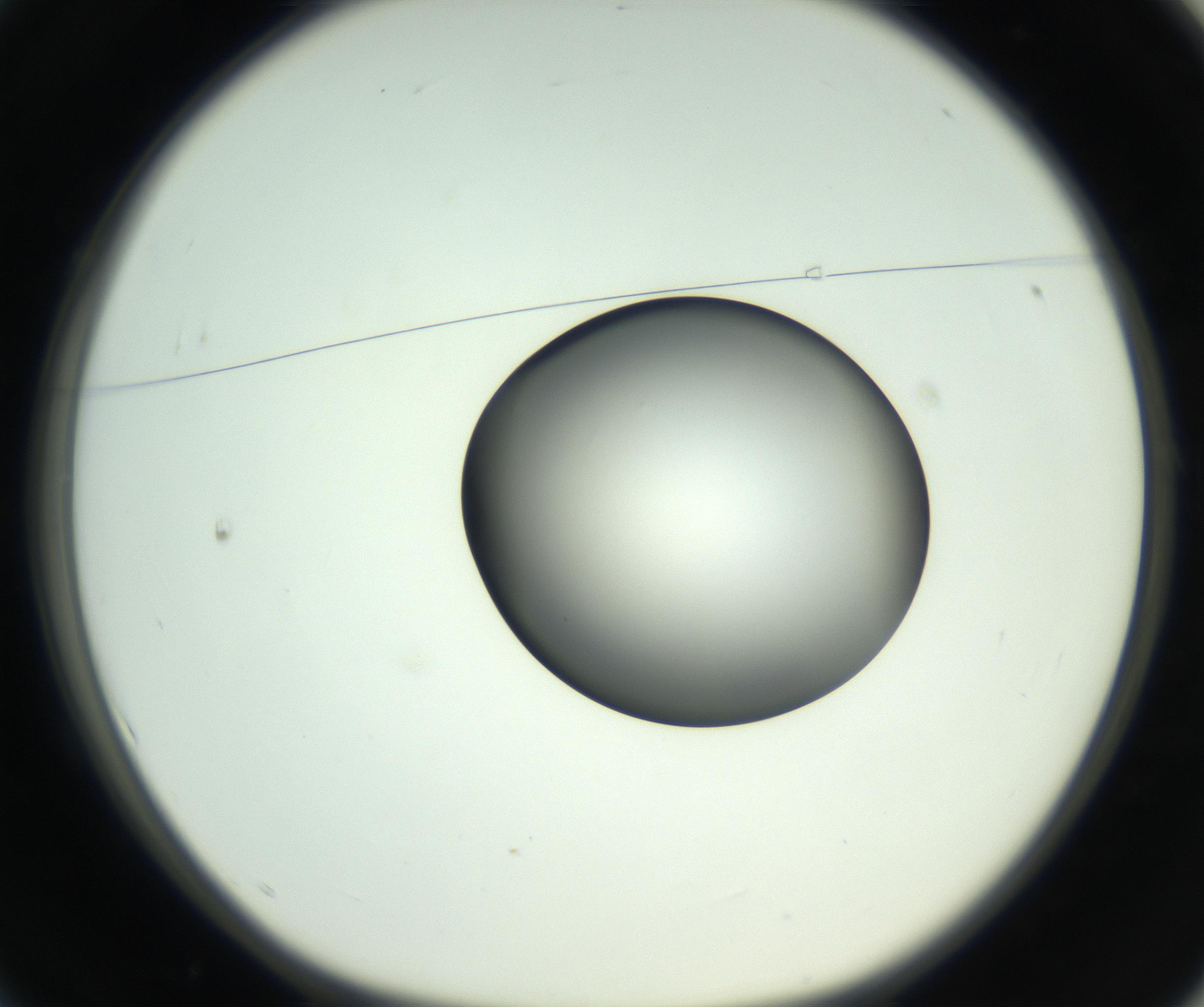 RI01_03_000_0212_Proj1_Clon1_MC_0000MC102746_005_160927_01_01_01_00_99_002_001_RAI.jpg