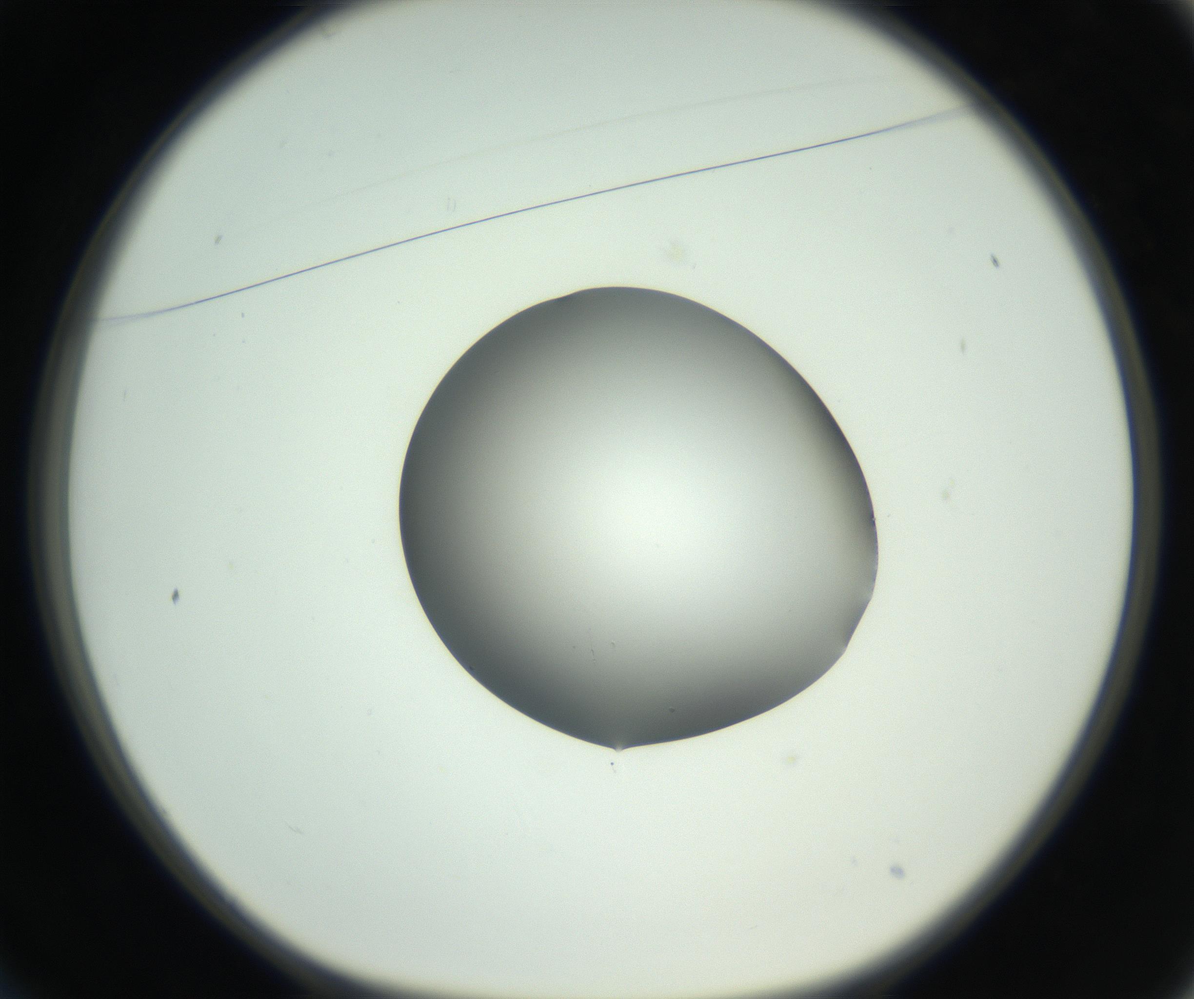 RI01_03_000_0212_Proj1_Clon1_MC_0000MC102746_005_160927_01_02_01_00_99_002_001_RAI.jpg