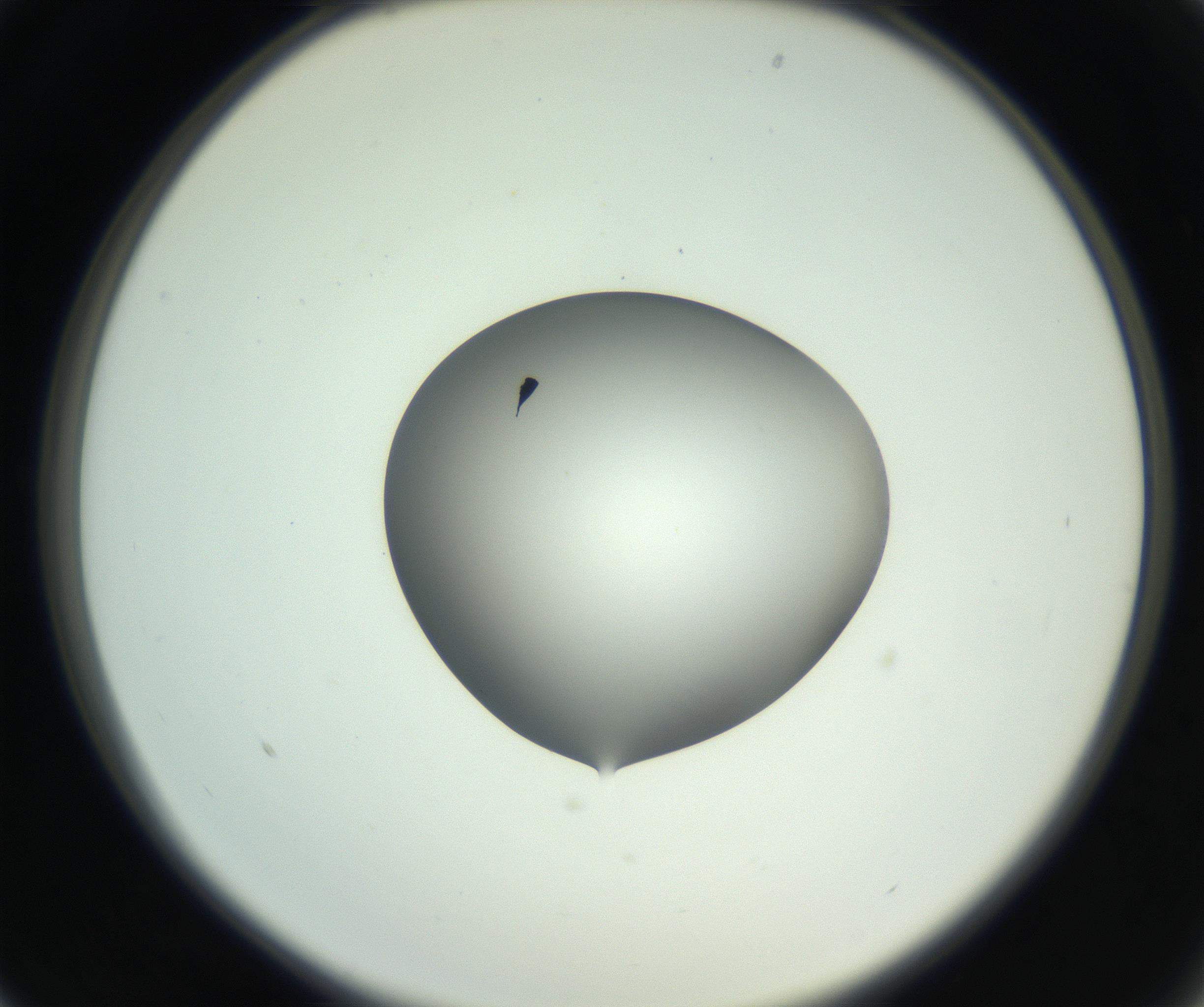 RI01_03_000_0212_Proj1_Clon1_MC_0000MC102746_005_160927_01_02_02_00_99_002_001_RAI.jpg