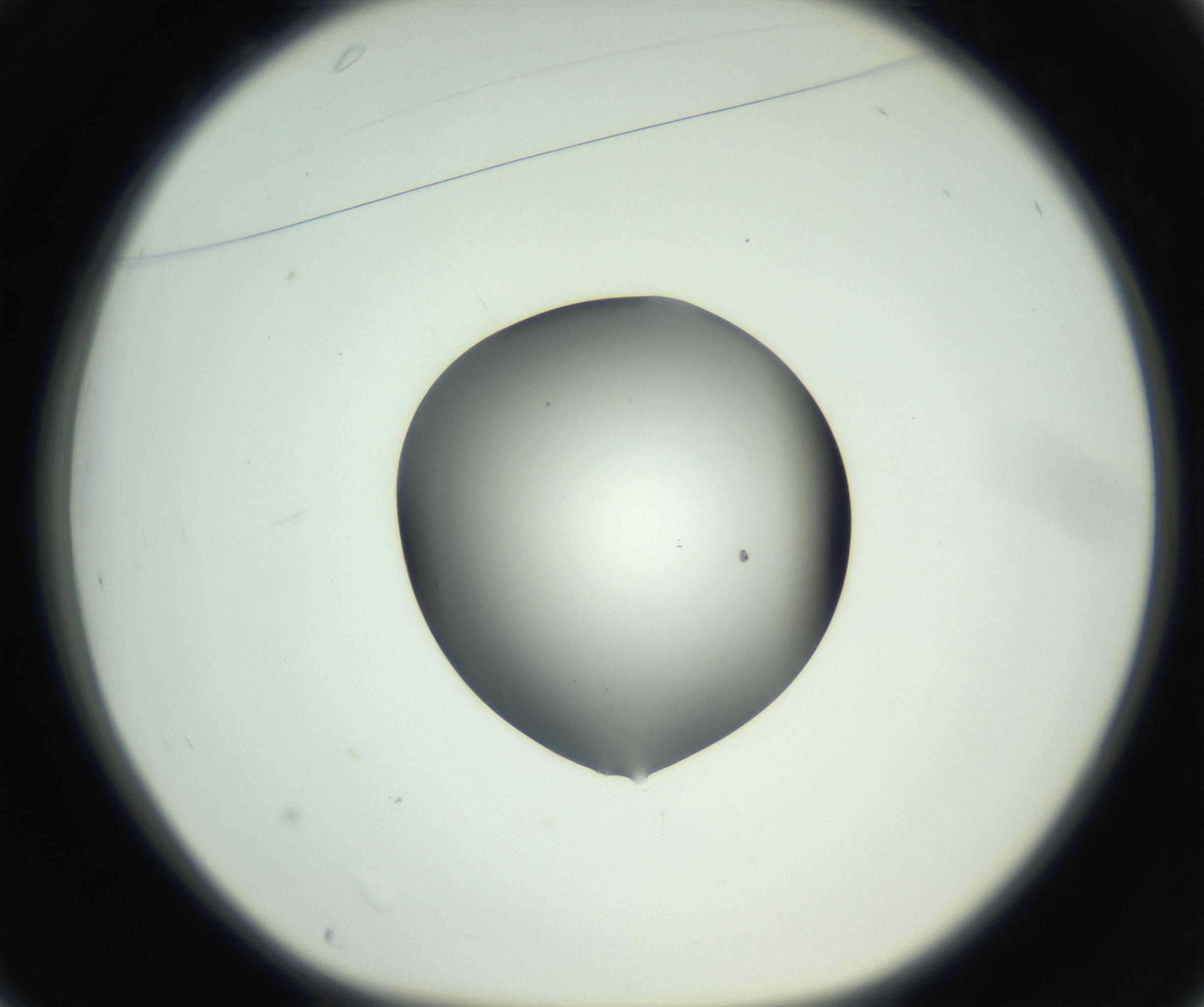 RI01_03_000_0212_Proj1_Clon1_MC_0000MC102746_005_160927_01_03_01_00_99_002_001_RAI.jpg