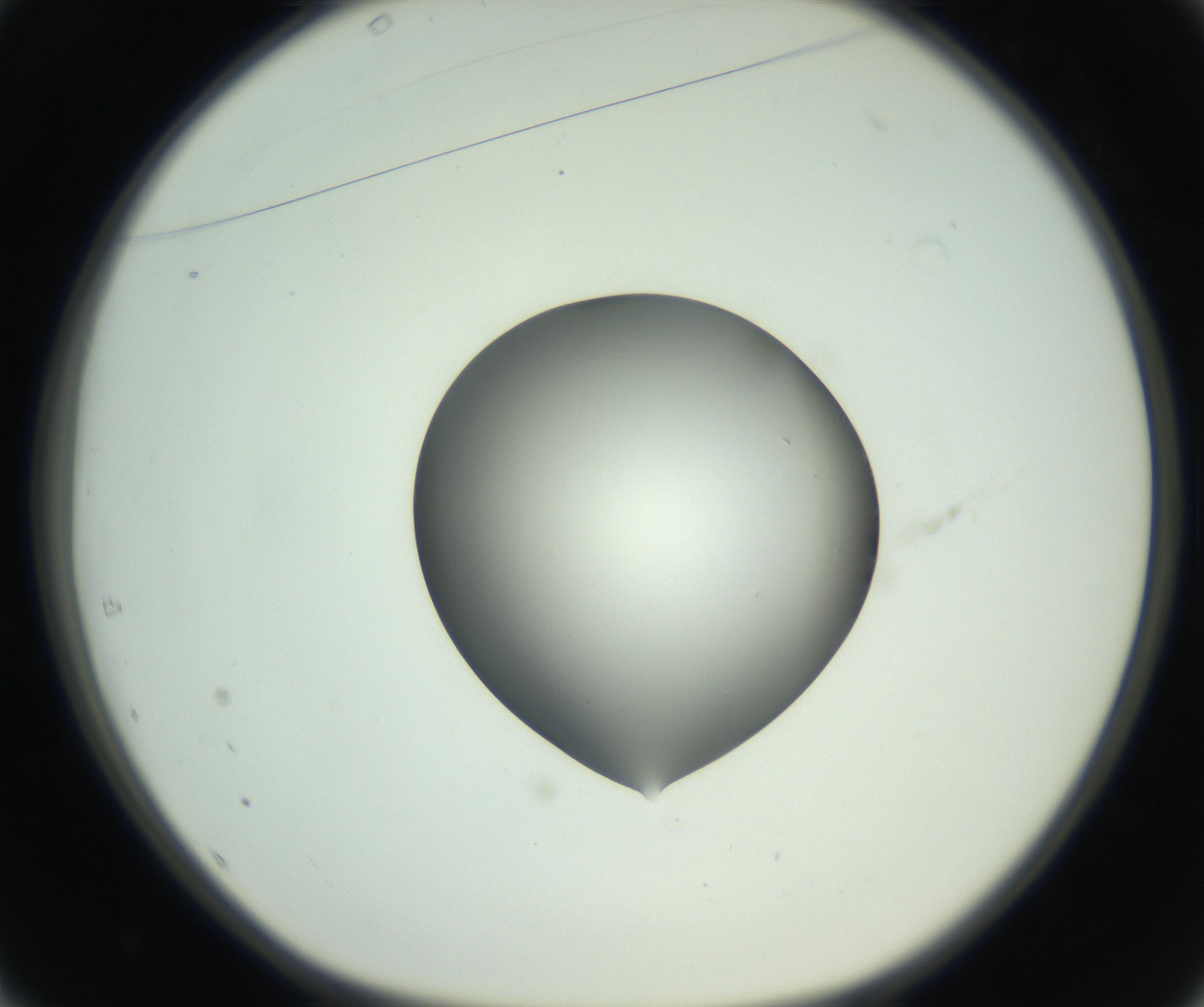 RI01_03_000_0212_Proj1_Clon1_MC_0000MC102746_005_160927_01_04_01_00_99_002_001_RAI.jpg