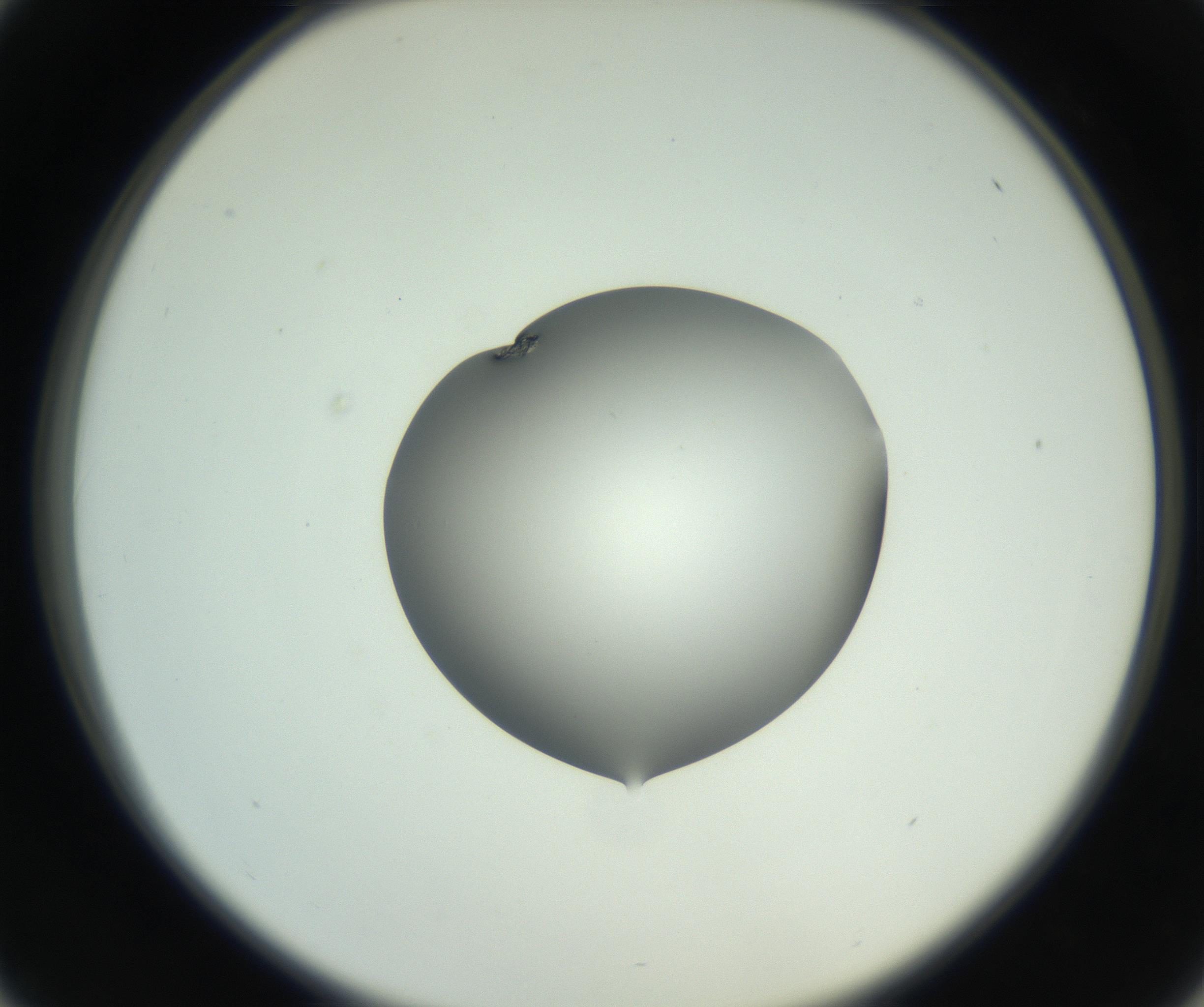 RI01_03_000_0212_Proj1_Clon1_MC_0000MC102746_005_160927_01_04_02_00_99_002_001_RAI.jpg