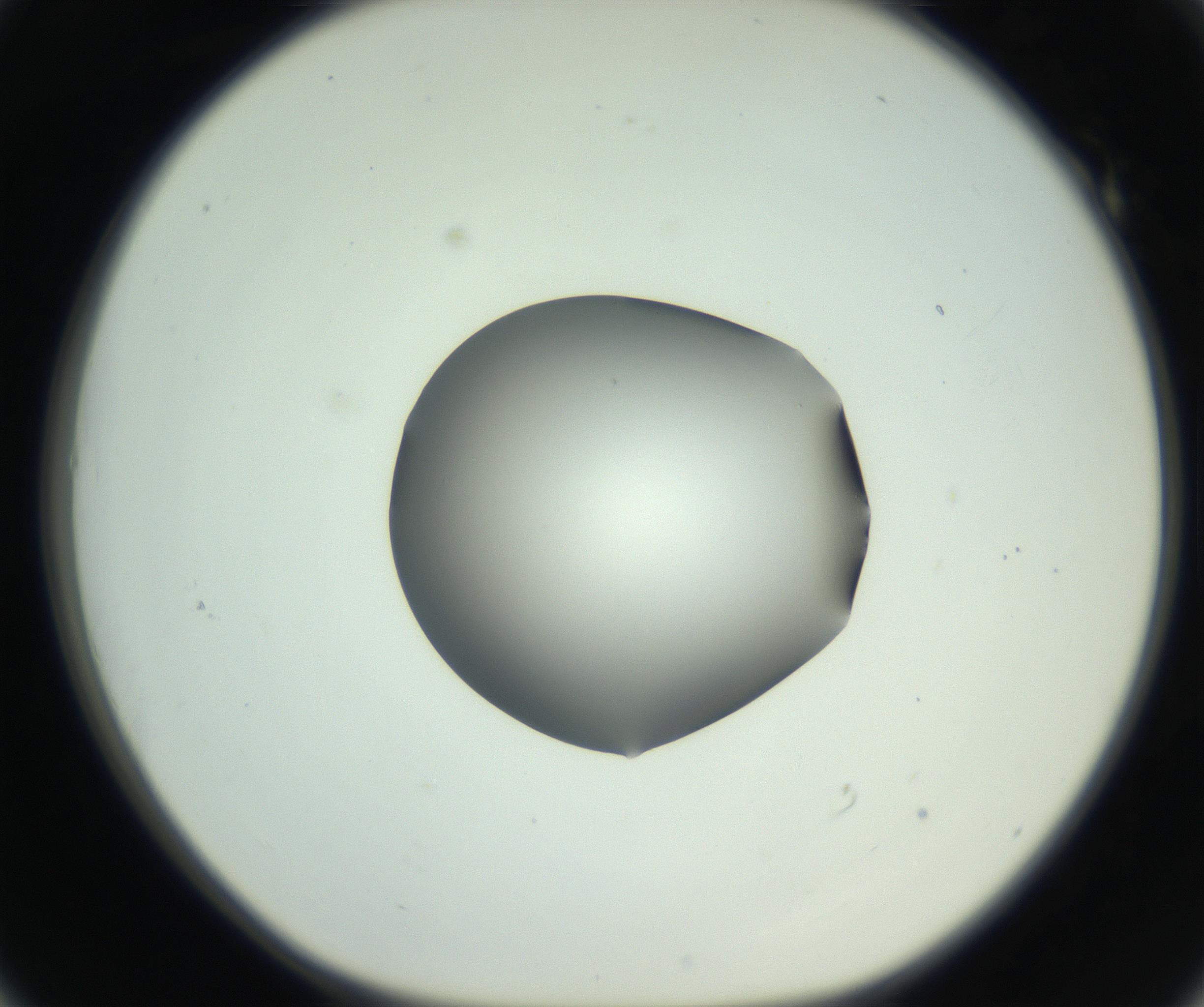 RI01_03_000_0212_Proj1_Clon1_MC_0000MC102746_005_160927_01_05_01_00_99_002_001_RAI.jpg