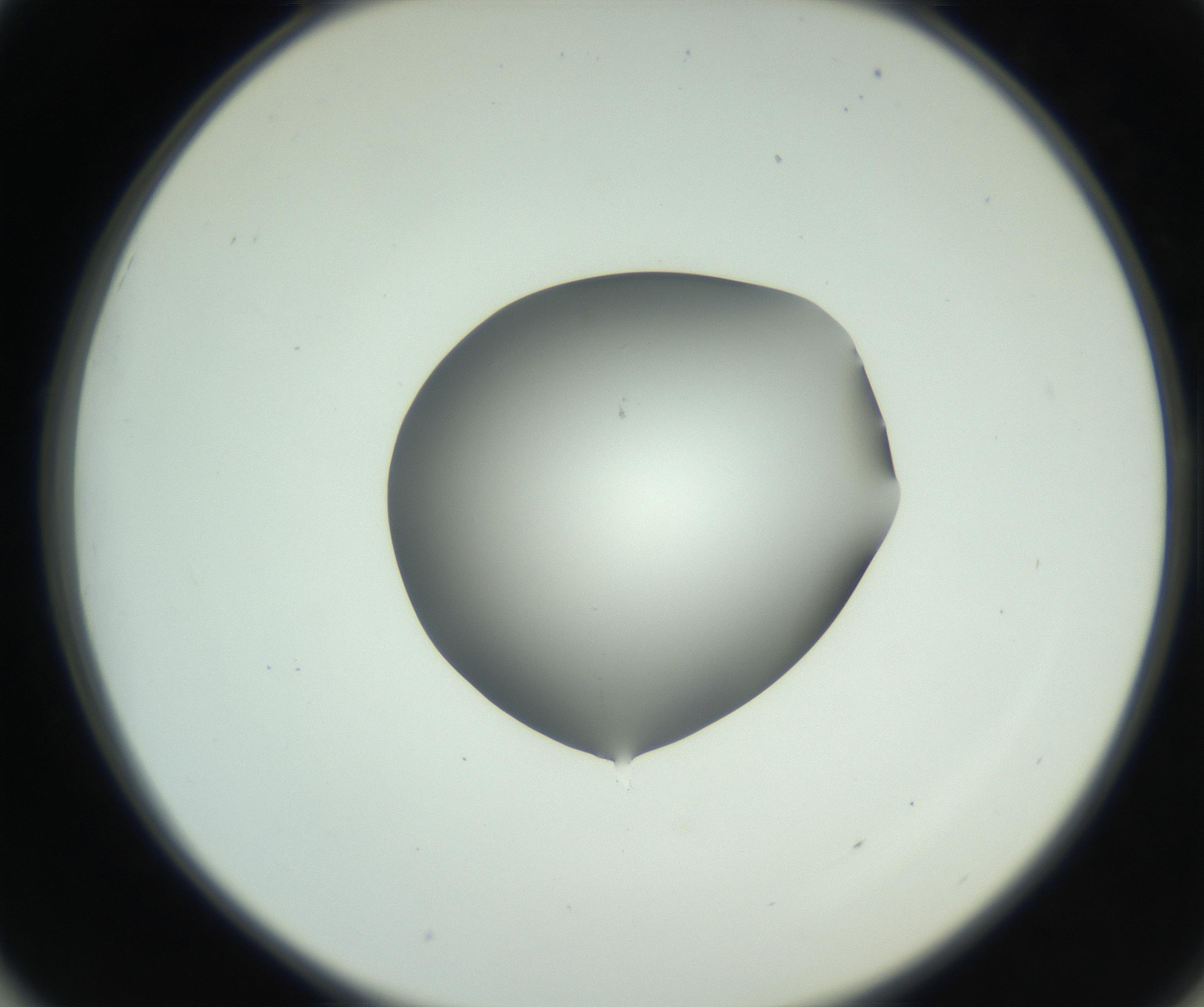 RI01_03_000_0212_Proj1_Clon1_MC_0000MC102746_005_160927_01_05_02_00_99_002_001_RAI.jpg