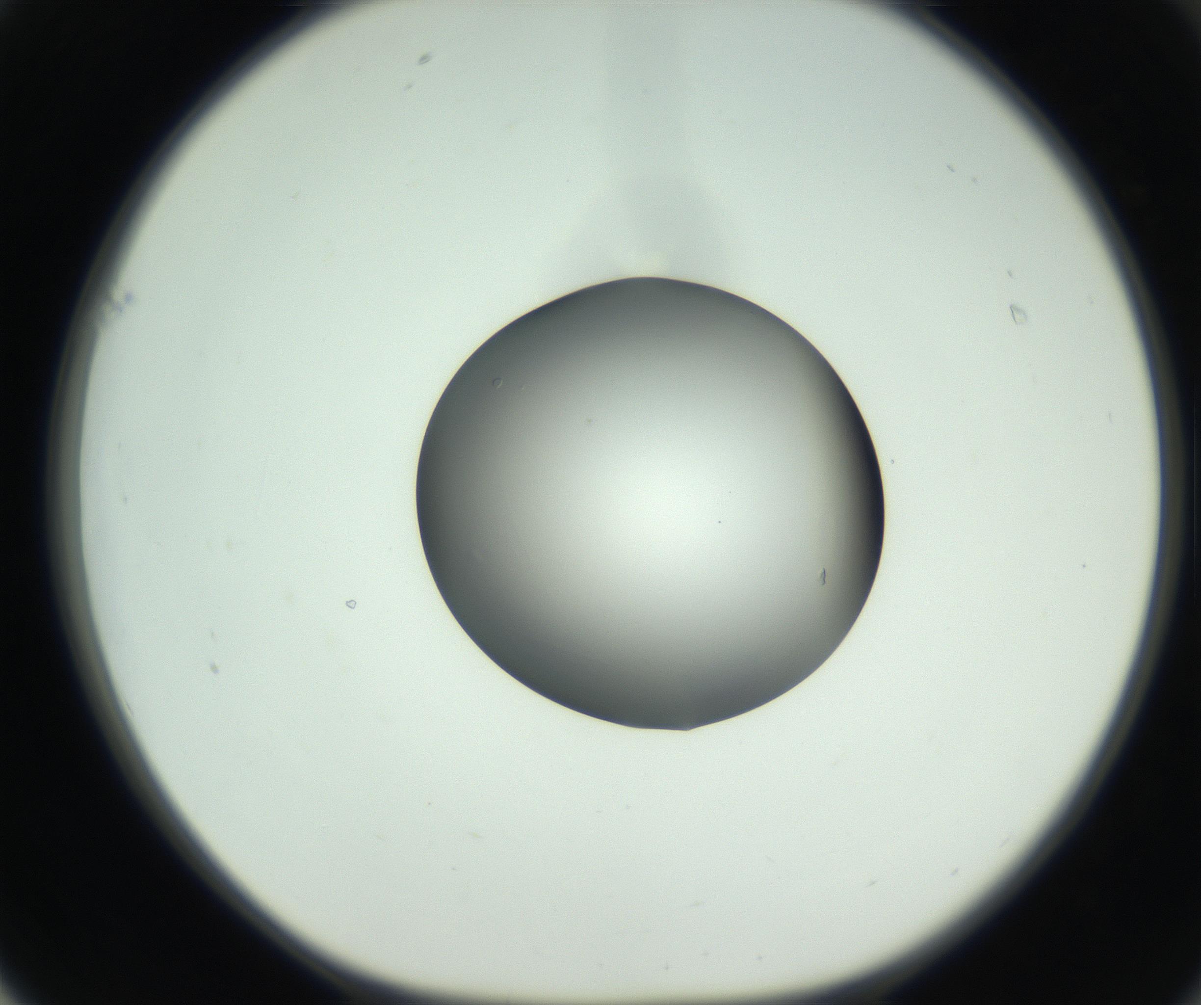 RI01_03_000_0212_Proj1_Clon1_MC_0000MC102746_005_160927_01_06_01_00_99_002_001_RAI.jpg