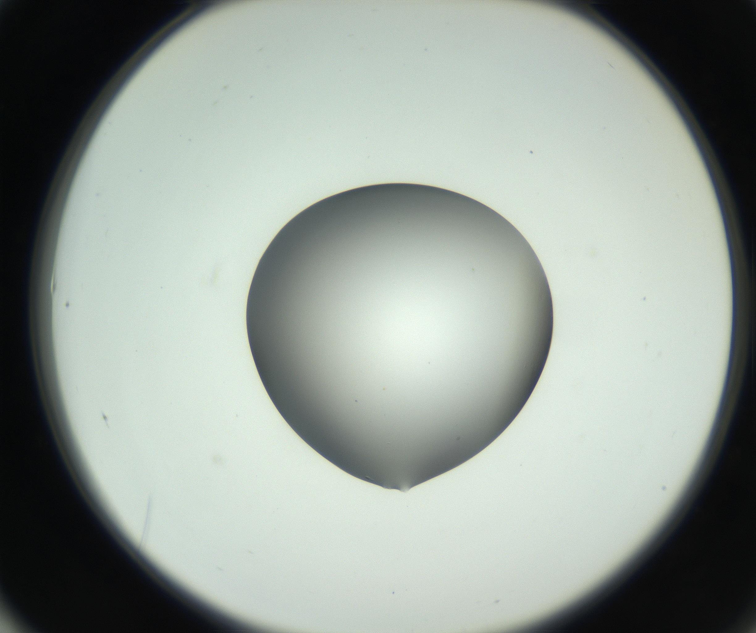 RI01_03_000_0212_Proj1_Clon1_MC_0000MC102746_005_160927_01_06_02_00_99_002_001_RAI.jpg
