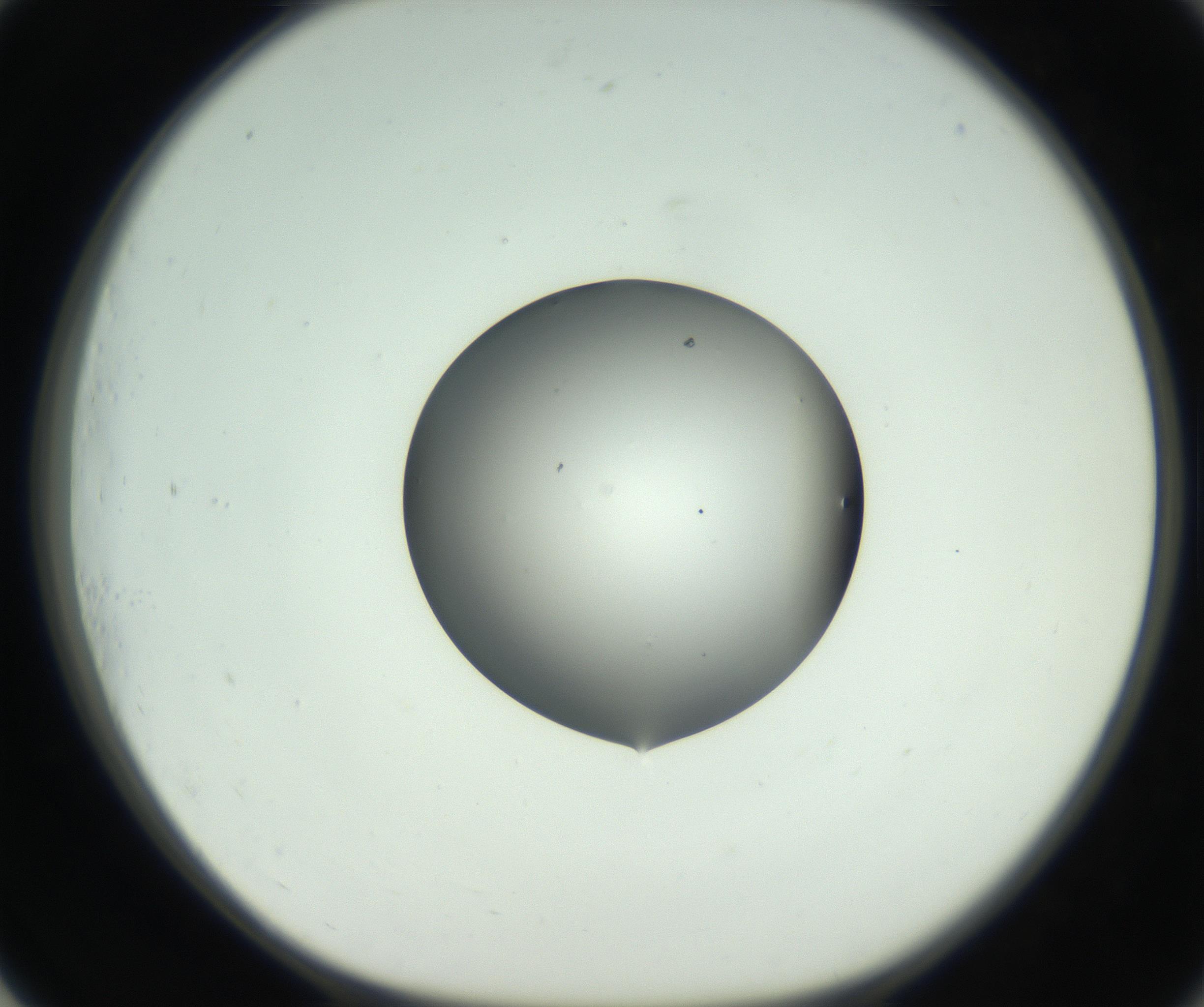 RI01_03_000_0212_Proj1_Clon1_MC_0000MC102746_005_160927_01_07_01_00_99_002_001_RAI.jpg