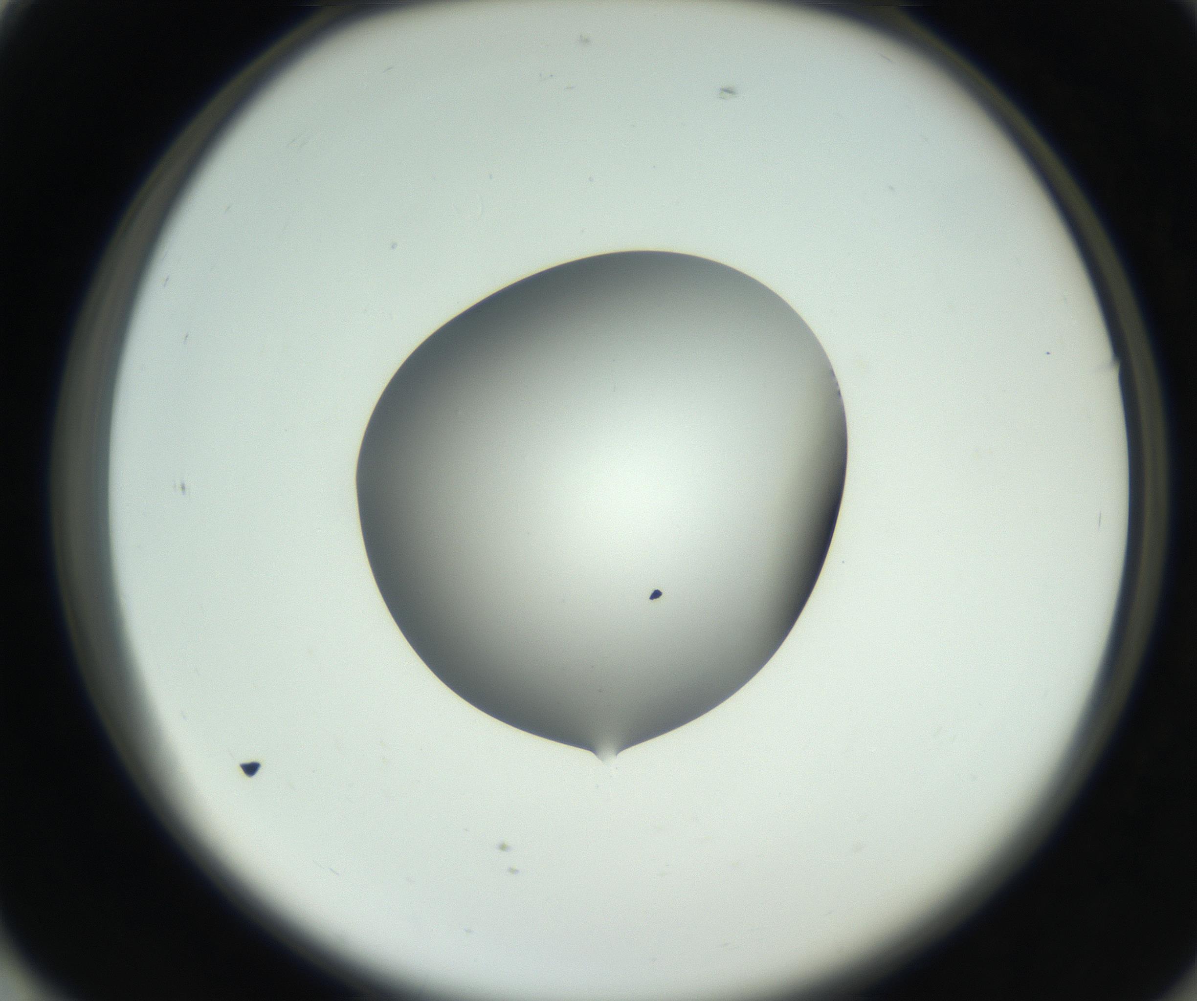 RI01_03_000_0212_Proj1_Clon1_MC_0000MC102746_005_160927_01_07_02_00_99_002_001_RAI.jpg