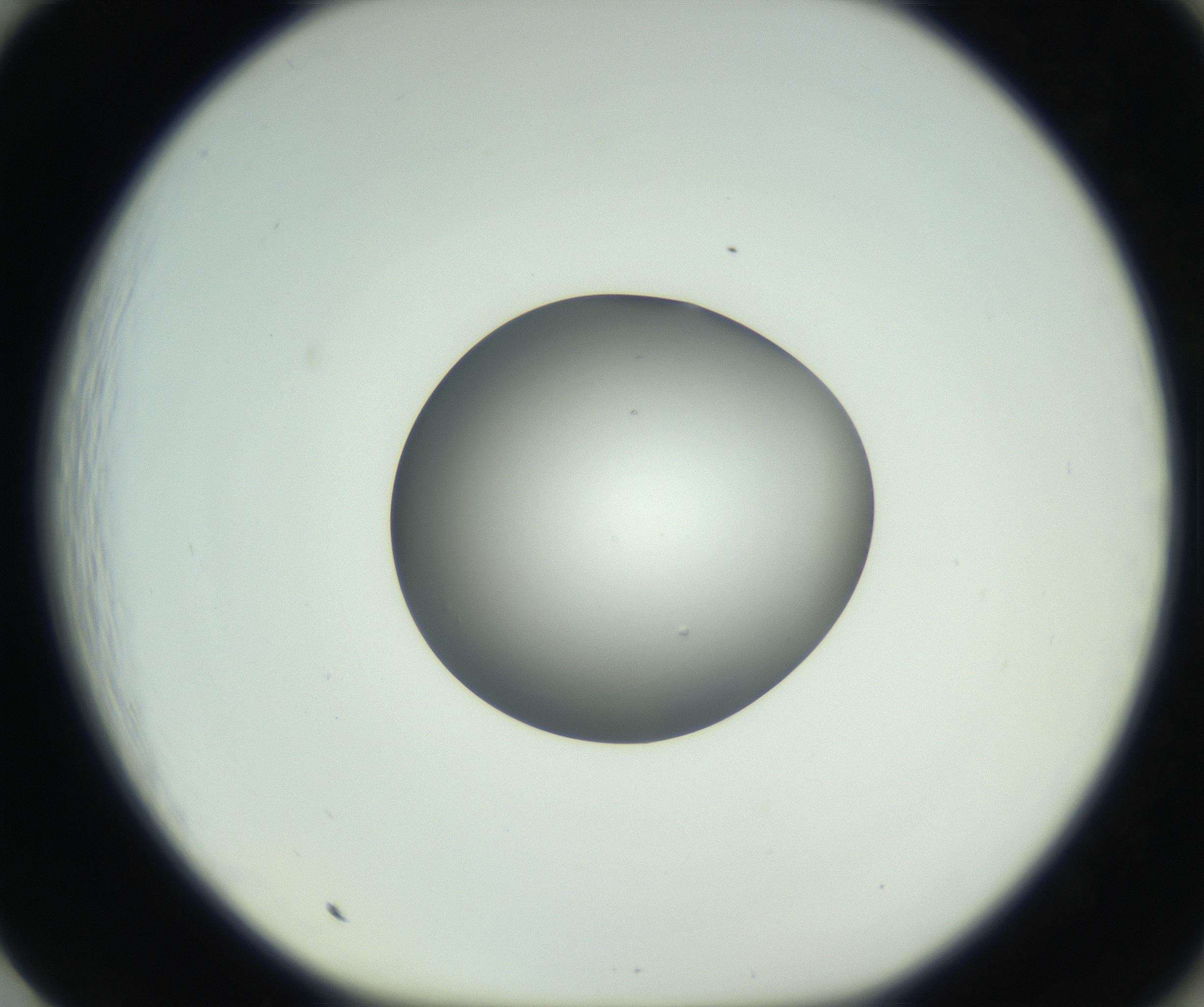 RI01_03_000_0212_Proj1_Clon1_MC_0000MC102746_005_160927_01_08_01_00_99_002_001_RAI.jpg