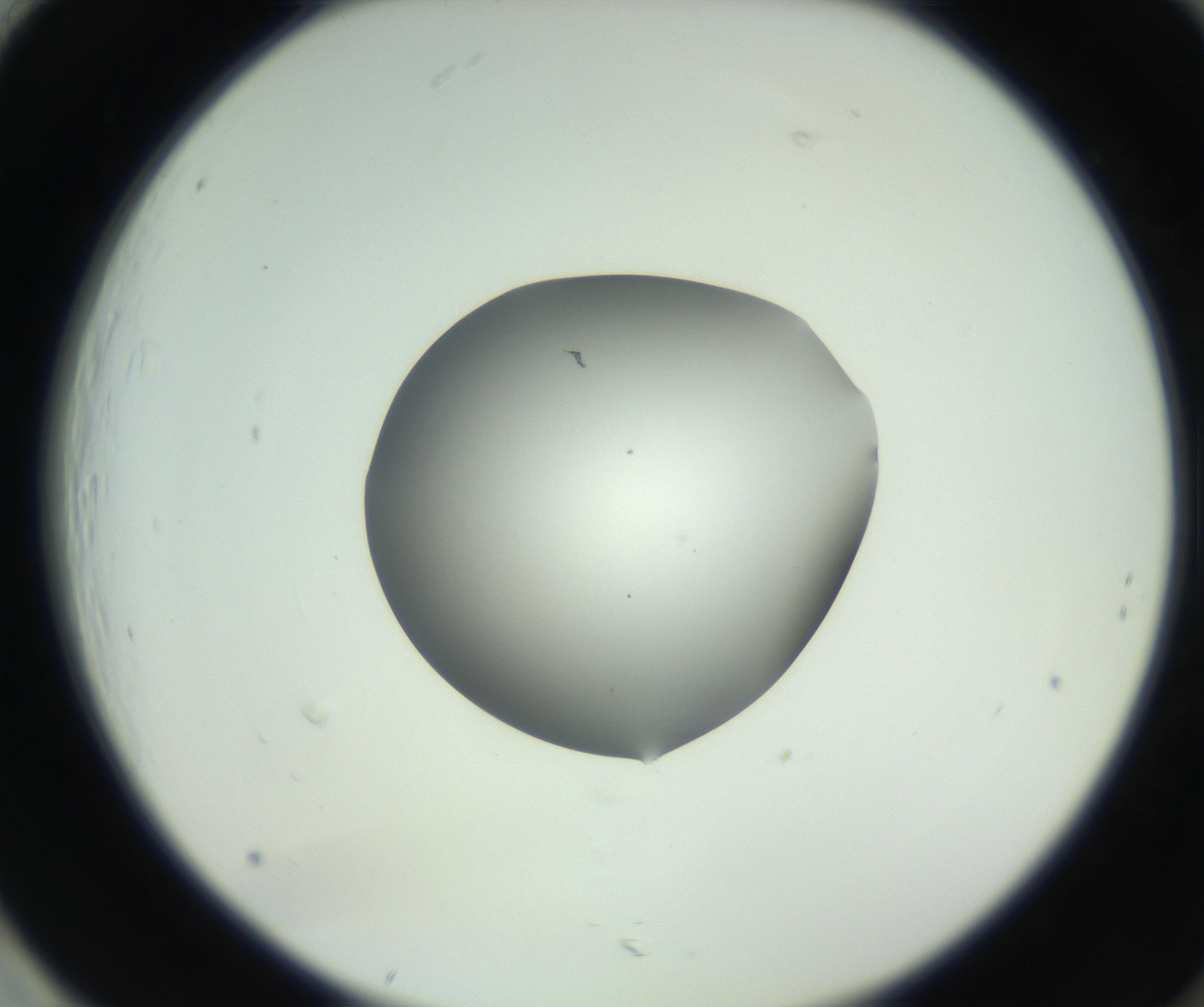 RI01_03_000_0212_Proj1_Clon1_MC_0000MC102746_005_160927_01_08_02_00_99_002_001_RAI.jpg
