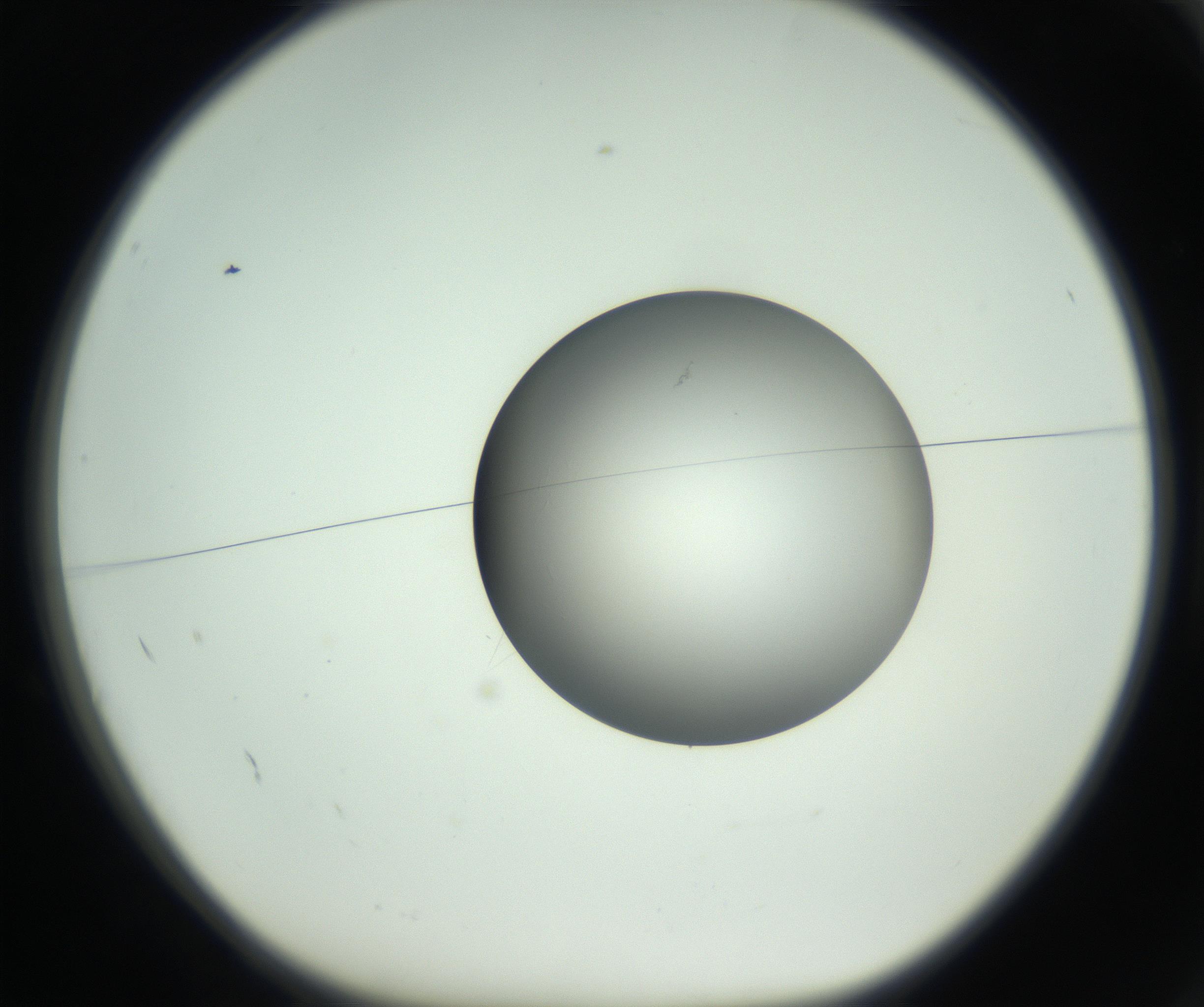 RI01_03_000_0212_Proj1_Clon1_MC_0000MC102746_005_160927_02_01_01_00_99_002_001_RAI.jpg