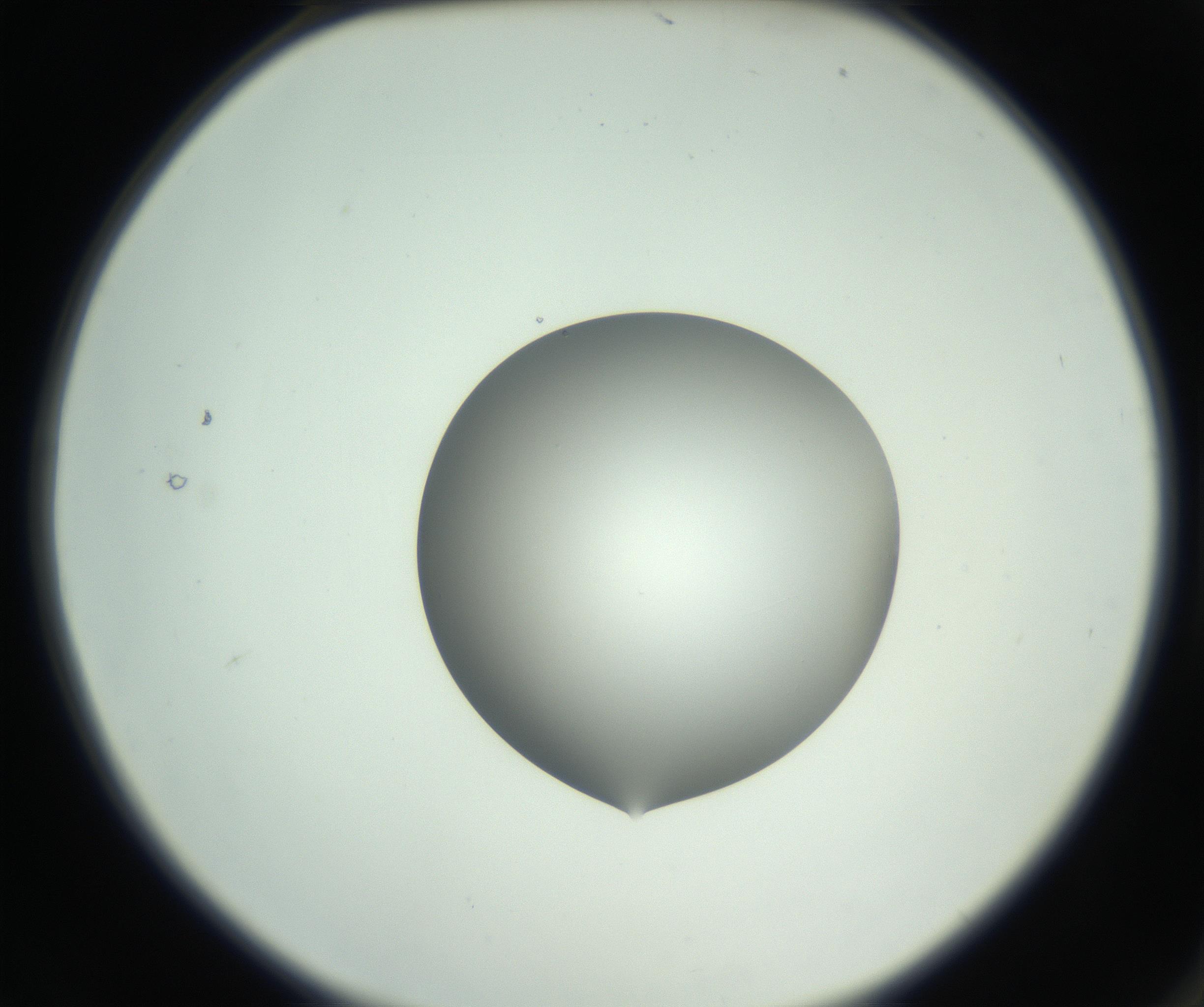 RI01_03_000_0212_Proj1_Clon1_MC_0000MC102746_005_160927_02_01_02_00_99_002_001_RAI.jpg