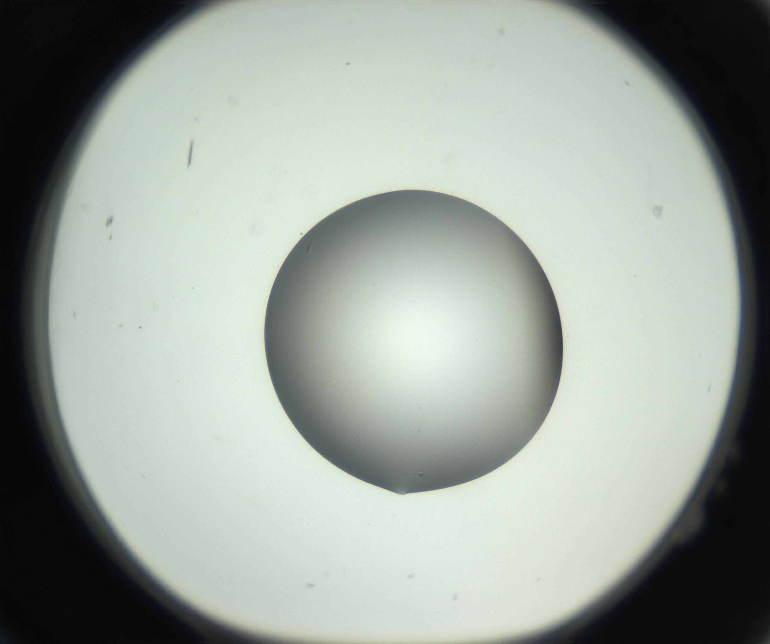 RI01_03_000_0212_Proj1_Clon1_MC_0000MC102746_005_160927_02_02_01_00_99_002_001_RAI.jpg