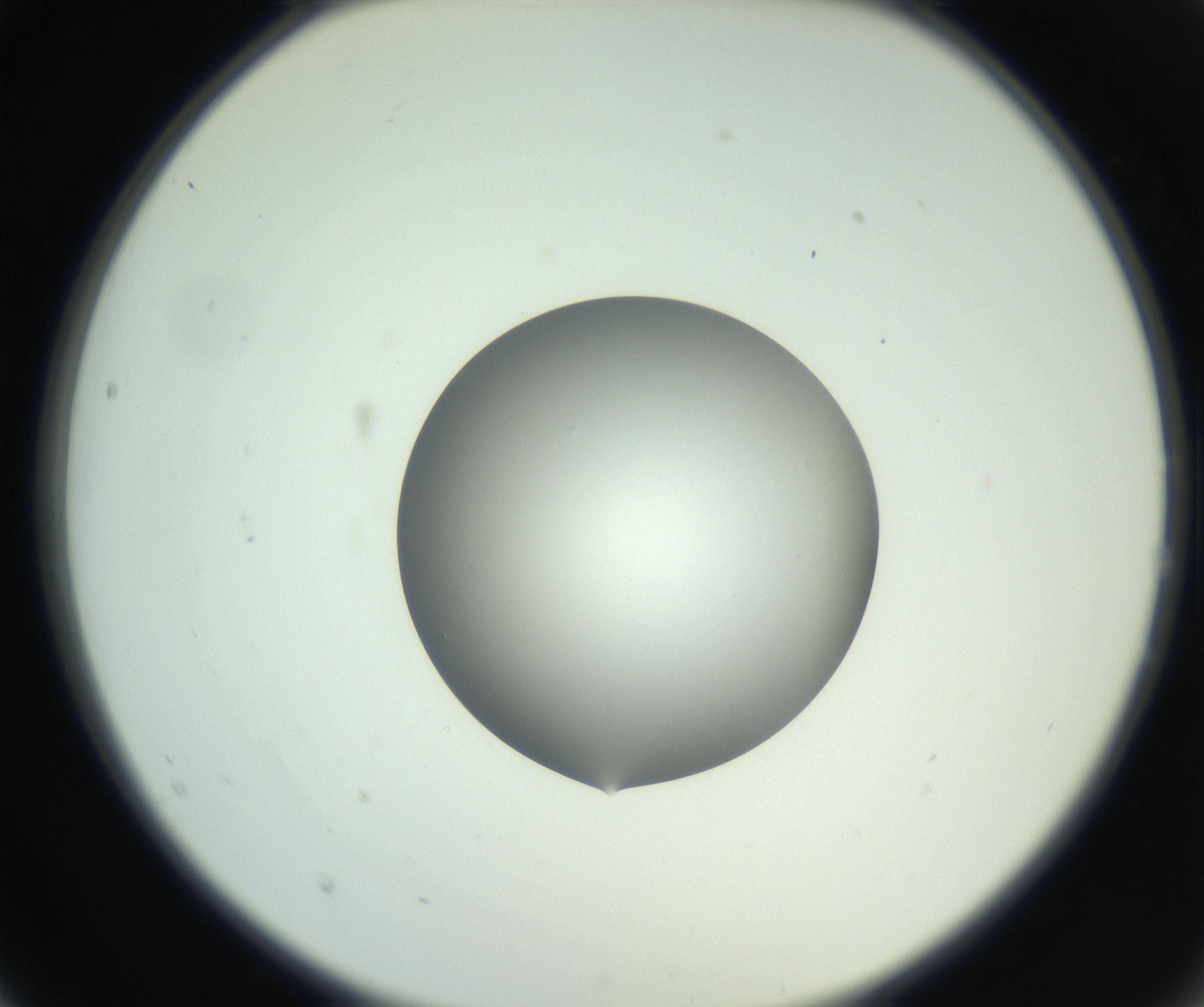 RI01_03_000_0212_Proj1_Clon1_MC_0000MC102746_005_160927_02_02_02_00_99_002_001_RAI.jpg