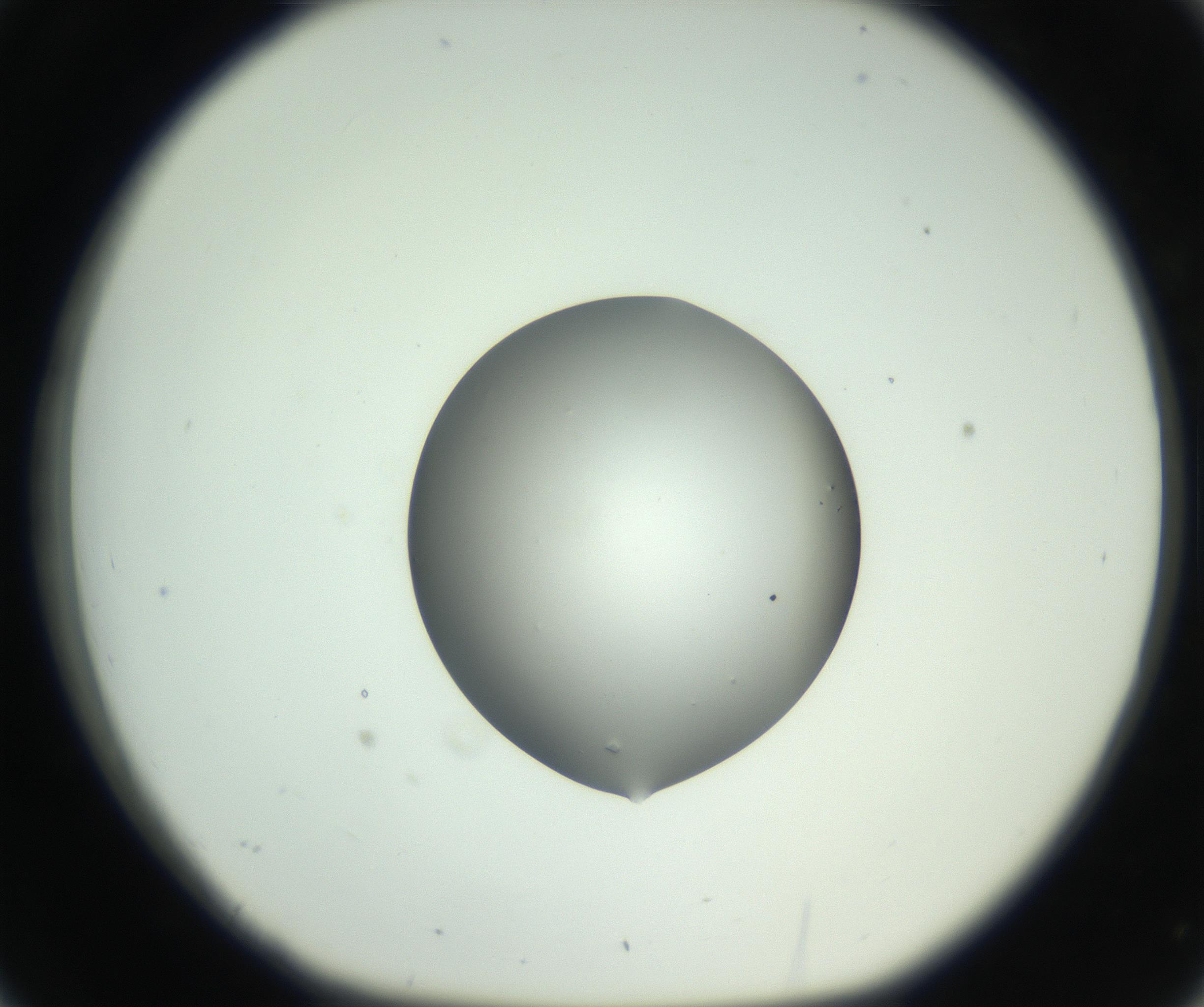 RI01_03_000_0212_Proj1_Clon1_MC_0000MC102746_005_160927_02_03_01_00_99_002_001_RAI.jpg