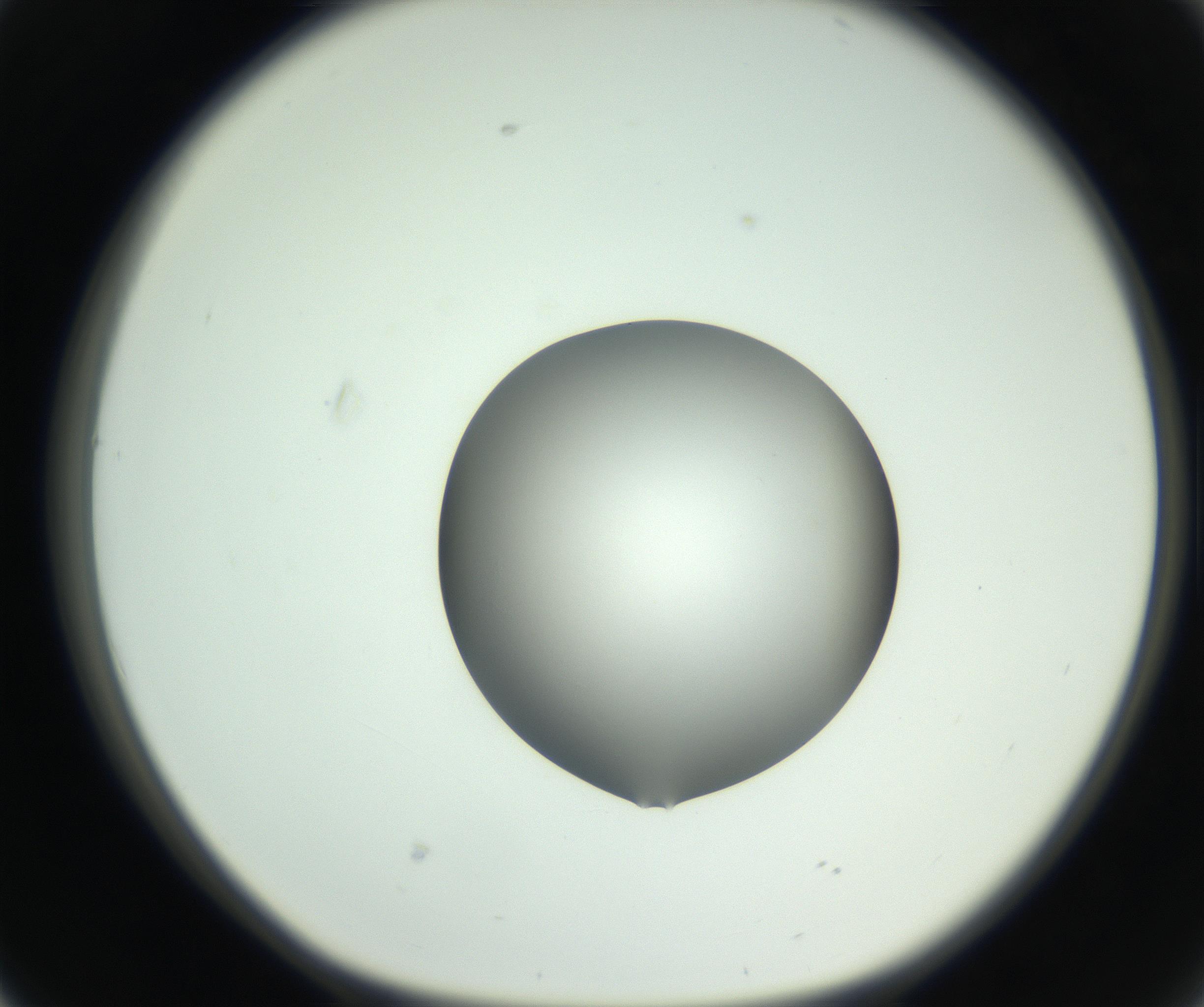 RI01_03_000_0212_Proj1_Clon1_MC_0000MC102746_005_160927_02_04_01_00_99_002_001_RAI.jpg