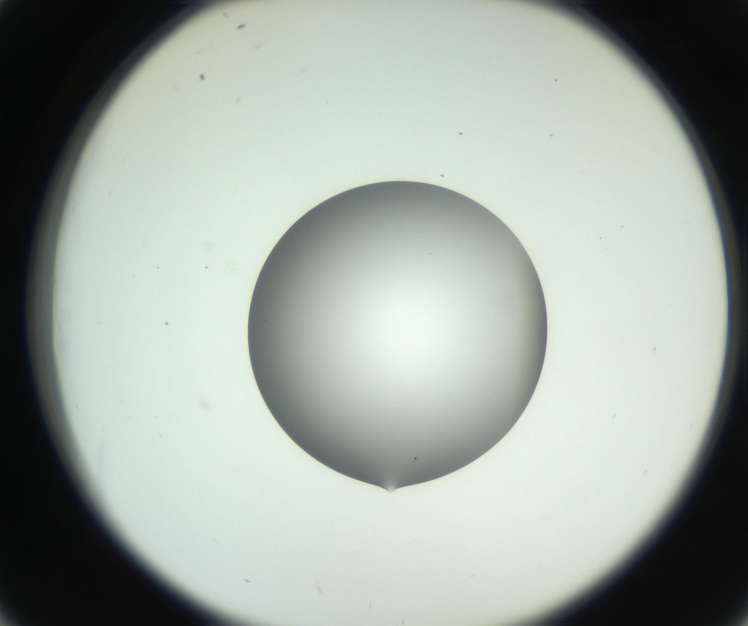 RI01_03_000_0212_Proj1_Clon1_MC_0000MC102746_005_160927_02_04_02_00_99_002_001_RAI.jpg
