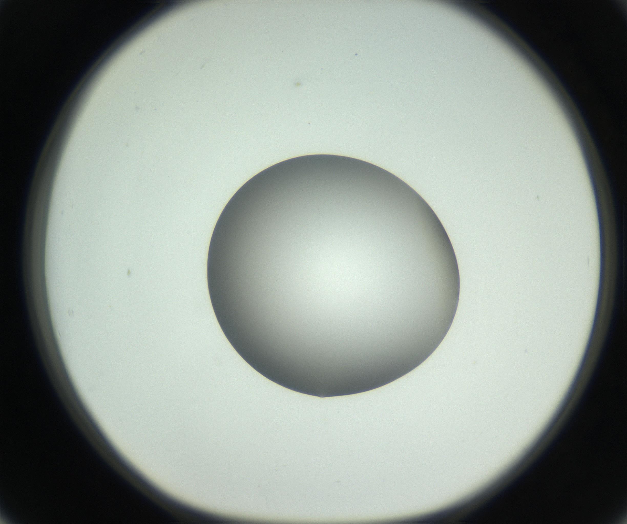RI01_03_000_0212_Proj1_Clon1_MC_0000MC102746_005_160927_02_05_01_00_99_002_001_RAI.jpg